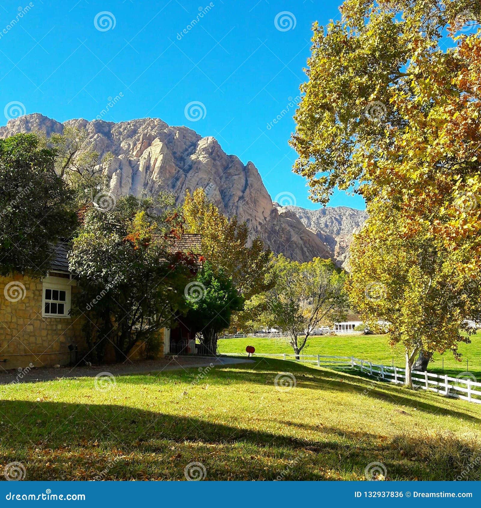 spring mountain ranch state park nv