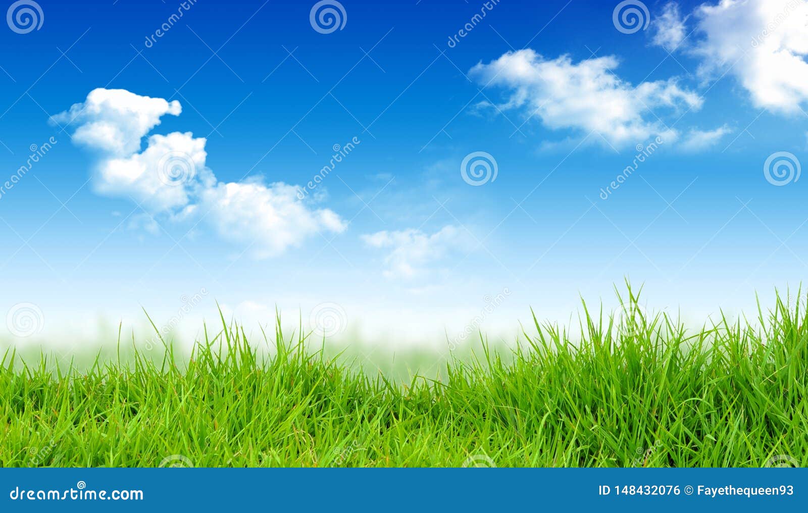 Spring Nature Background with Grass and Blue Sky. Stock Photo ...