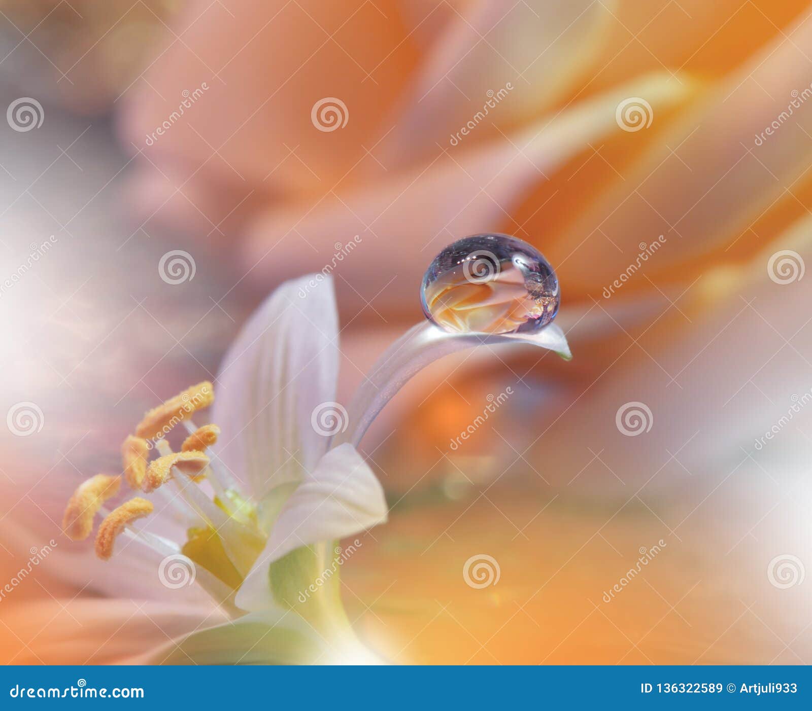 spring nature blossom web banner or header.abstract macro photo.artistic background.fantasy .colorful wallpaper.artwork,drop