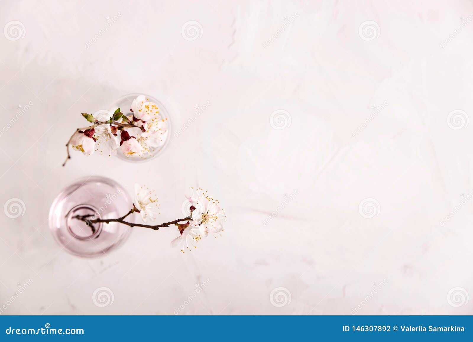 Spring Neutral Light Minimalistic Background with White Flowers on the ...