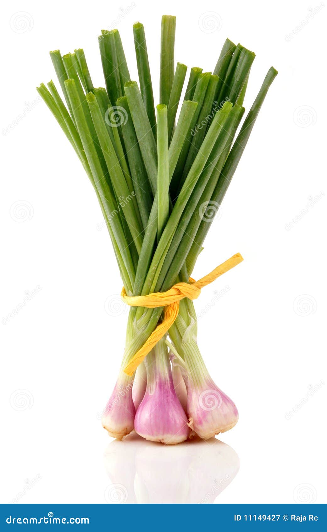 Spring Onion Royalty Free Stock Photography - Image: 11149427
