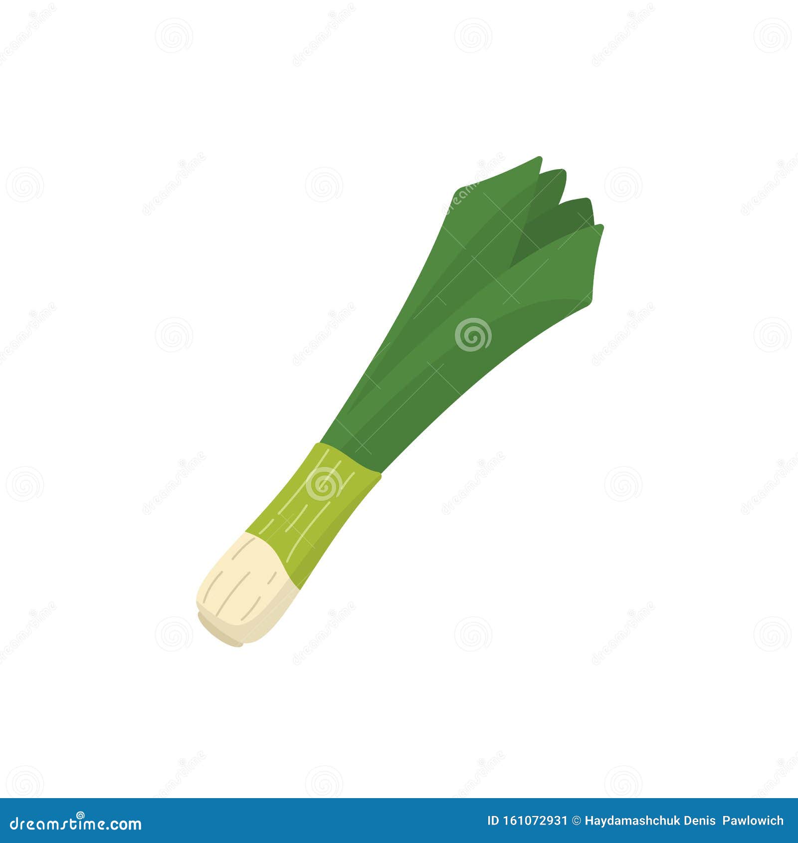 Spring Onion Leek Vegetable Vector in Cartoon Style. Stock Vector