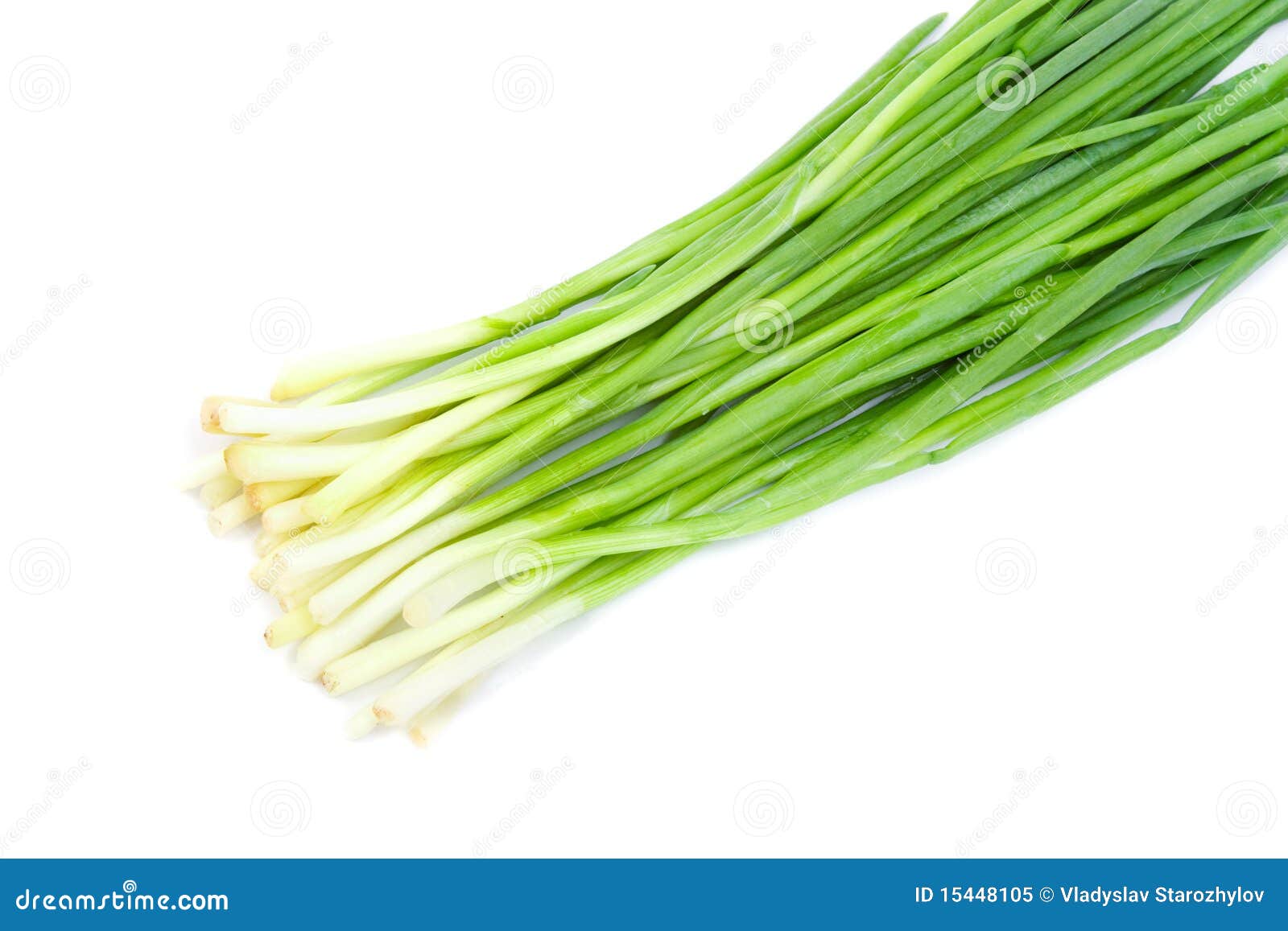 Spring onions stock image. Image of green, aroma, culinary 15448105