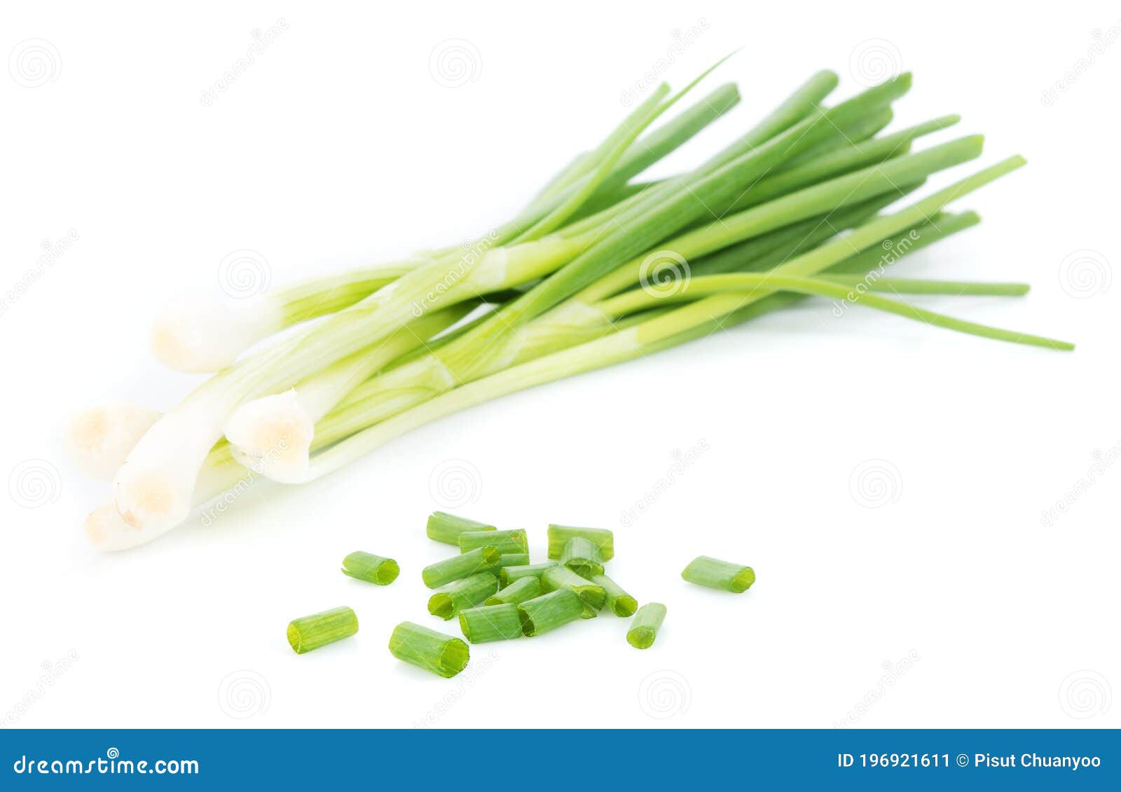 Spring Onions an Isolated on White Background Stock Image Image of