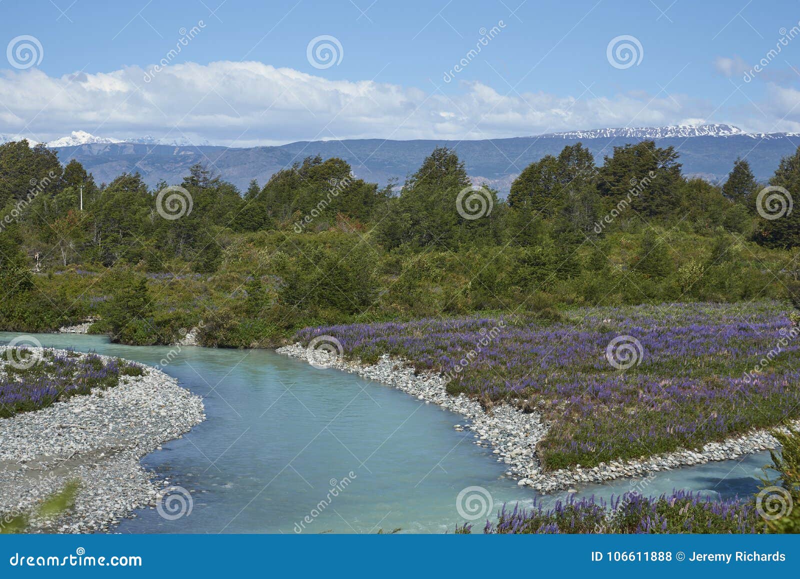 Spring in Patagonia Along the Carretera Austral Stock Photo Image of