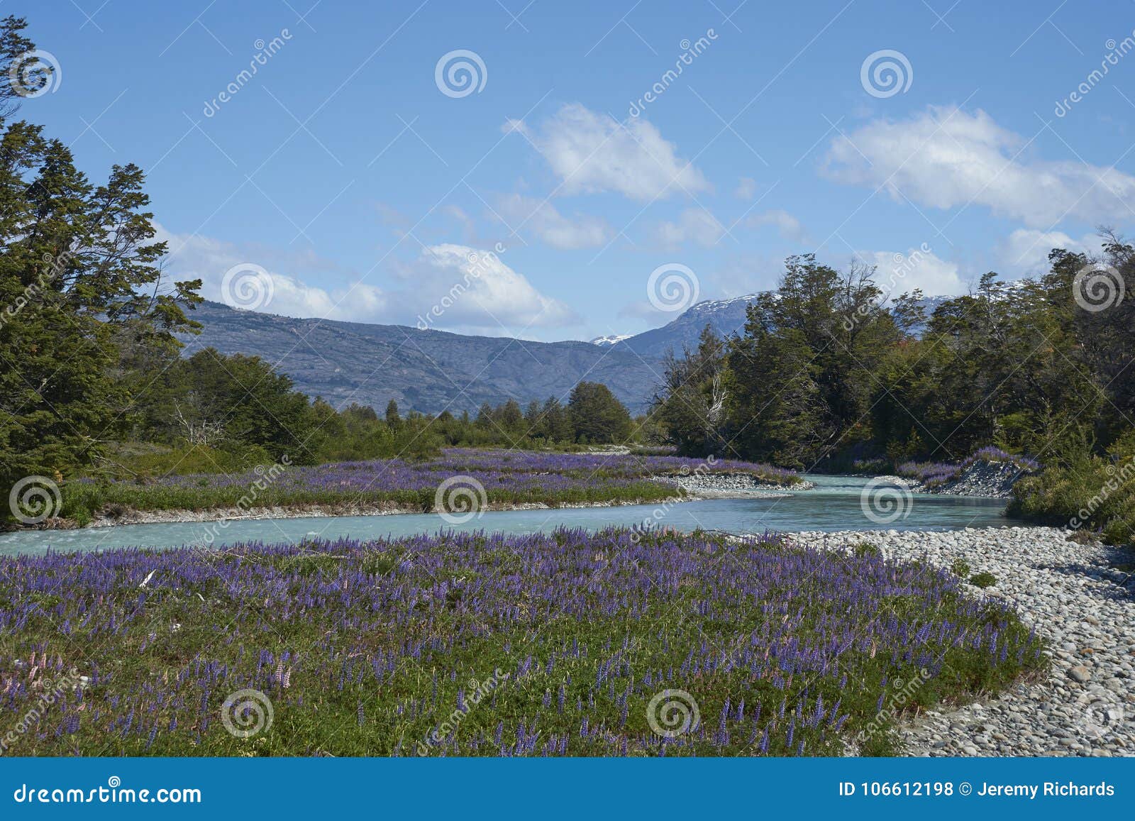 Spring in Patagonia Along the Carretera Austral Stock Photo Image of