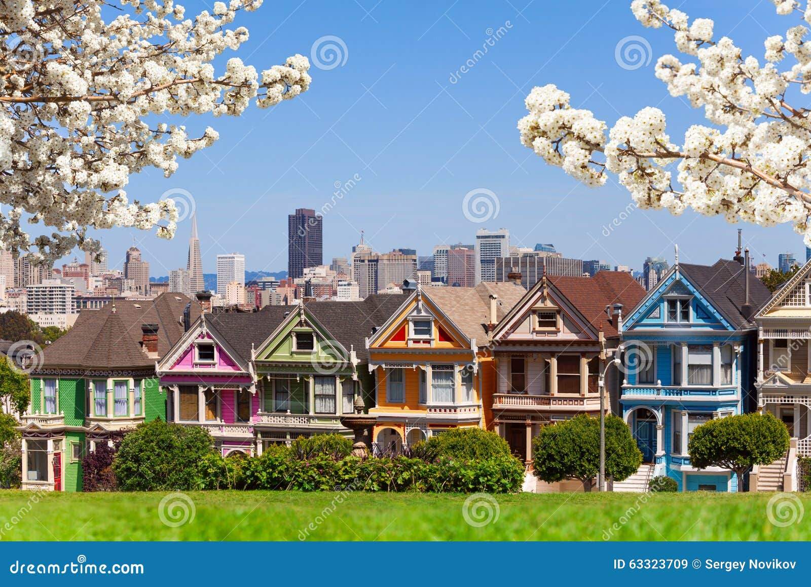 spring photo of painted ladies and san francisco s