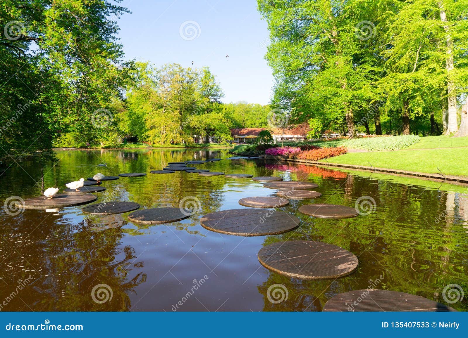 Spring pond in park stock image. Image of dutch, colorful - 135407533