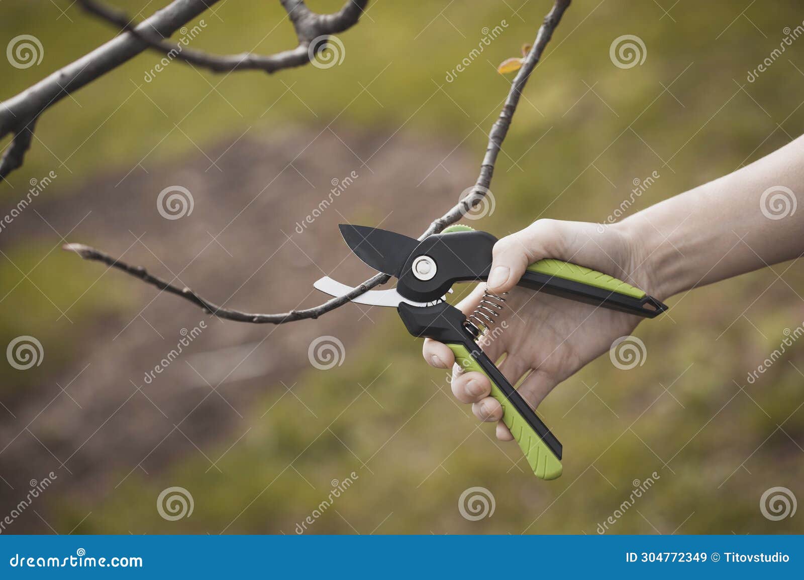 Spring Pruning of the Garden with Secateurs, Care for Trees and Bushes