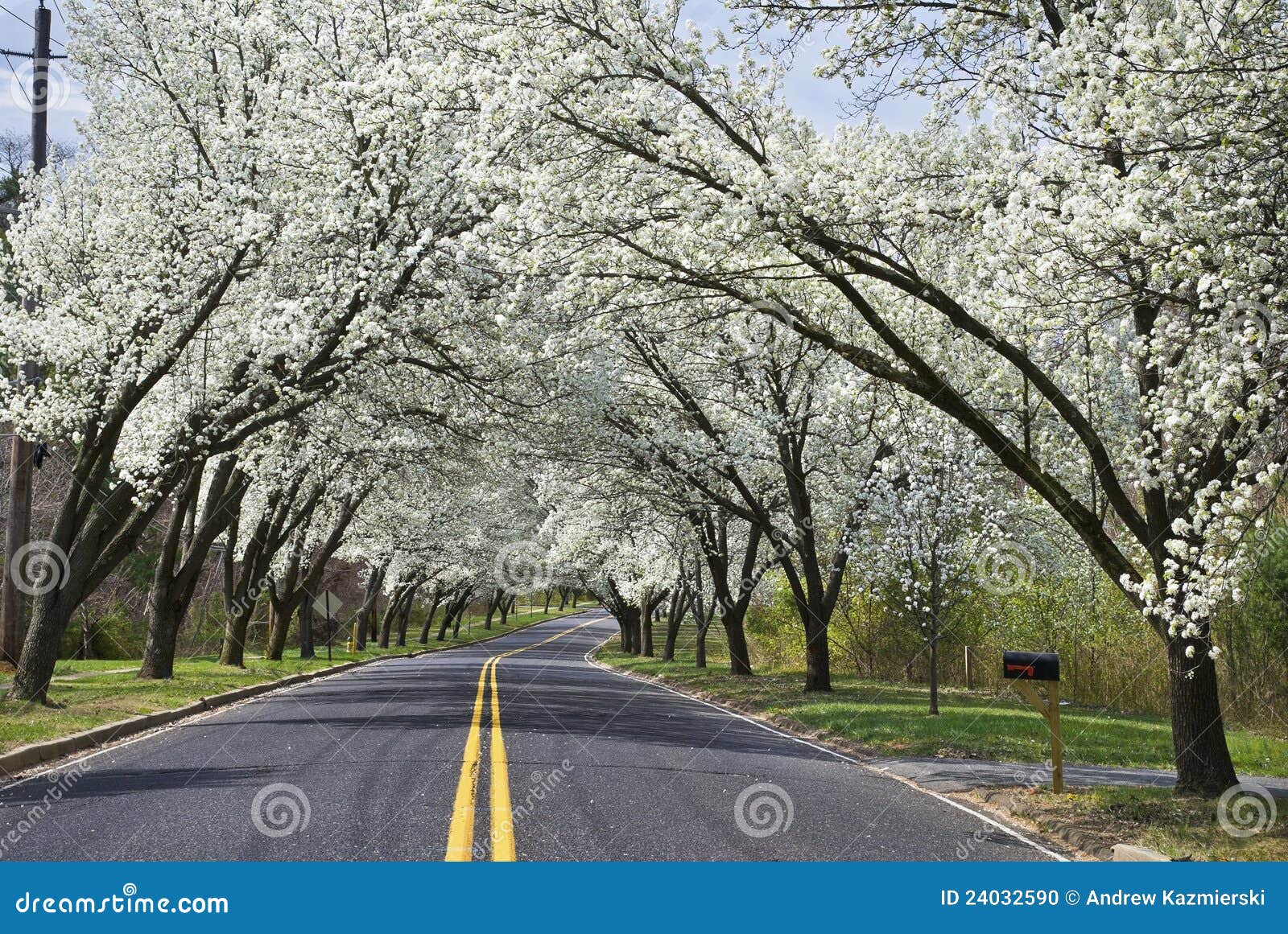 Spring Road stock photo. Image of road, yellow, holmdel 24032590