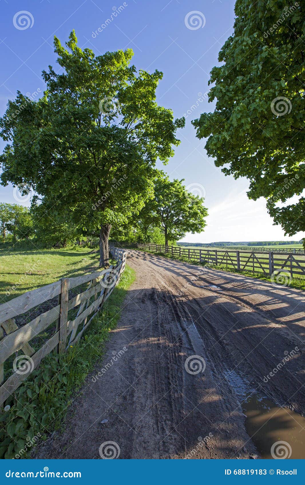 Spring road , countryside stock image. Image of grass 68819183