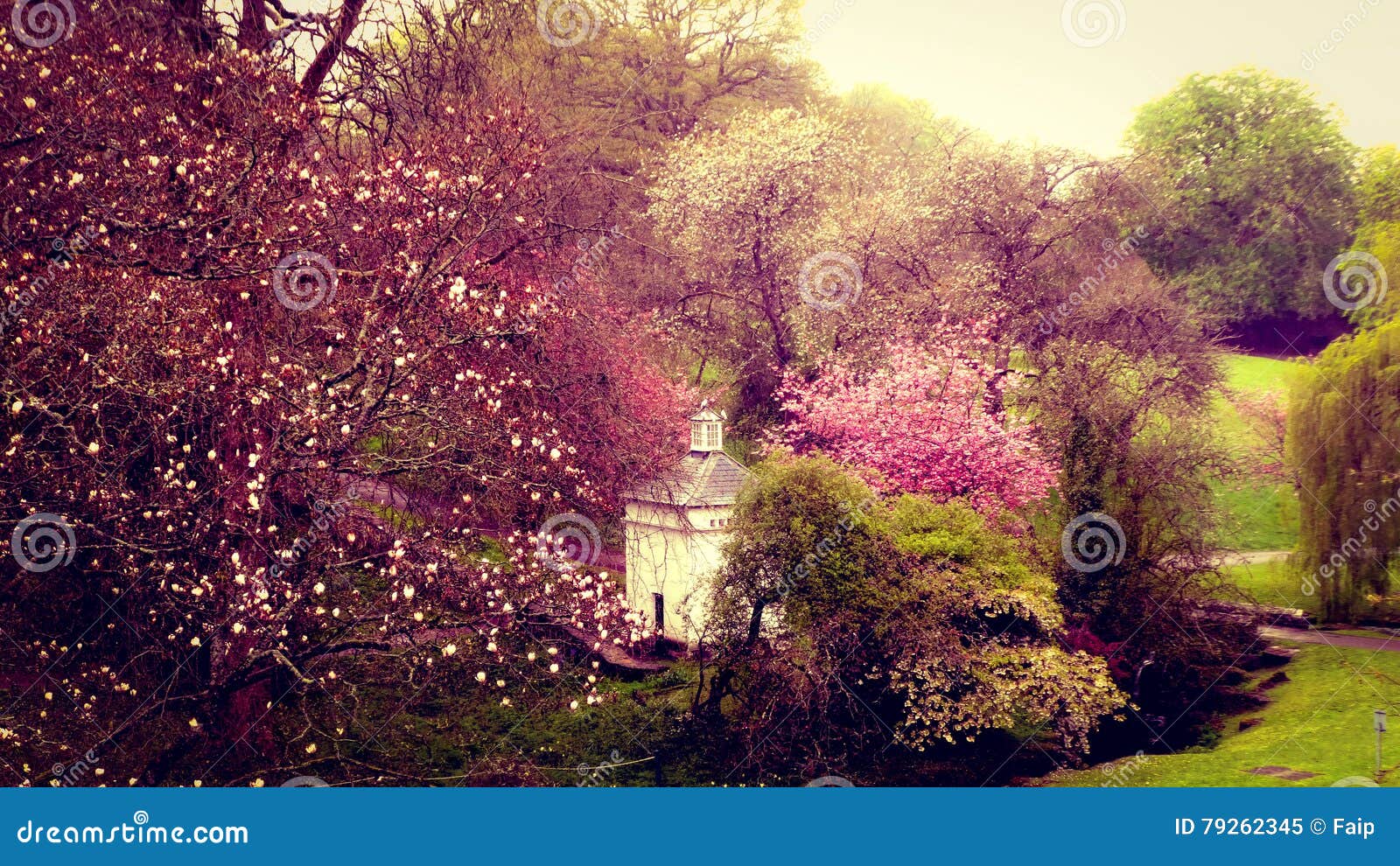 spring in saint fagans museum of welsh life