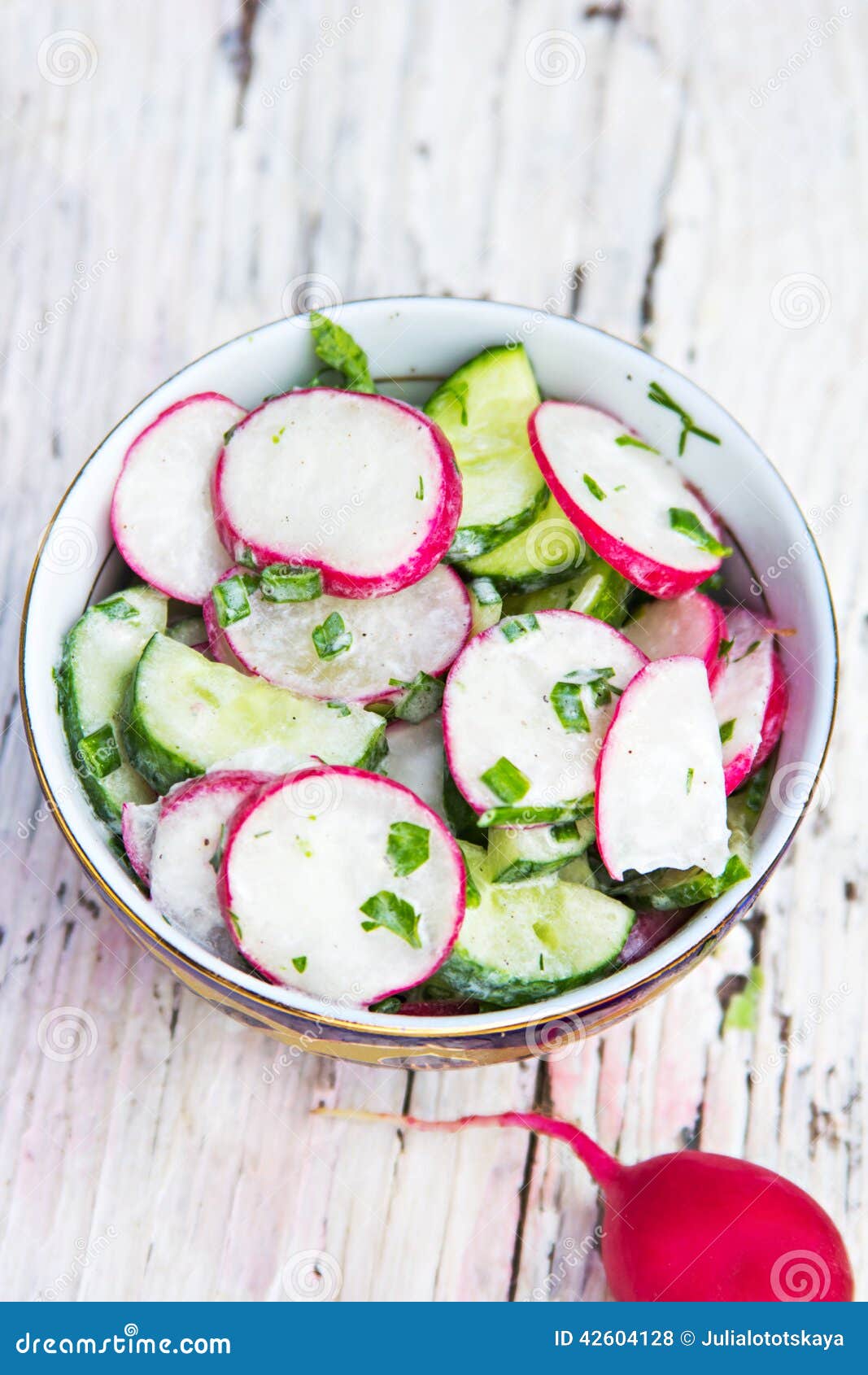 Spring Salad with Radishes and Cucumber Stock Photo Image of