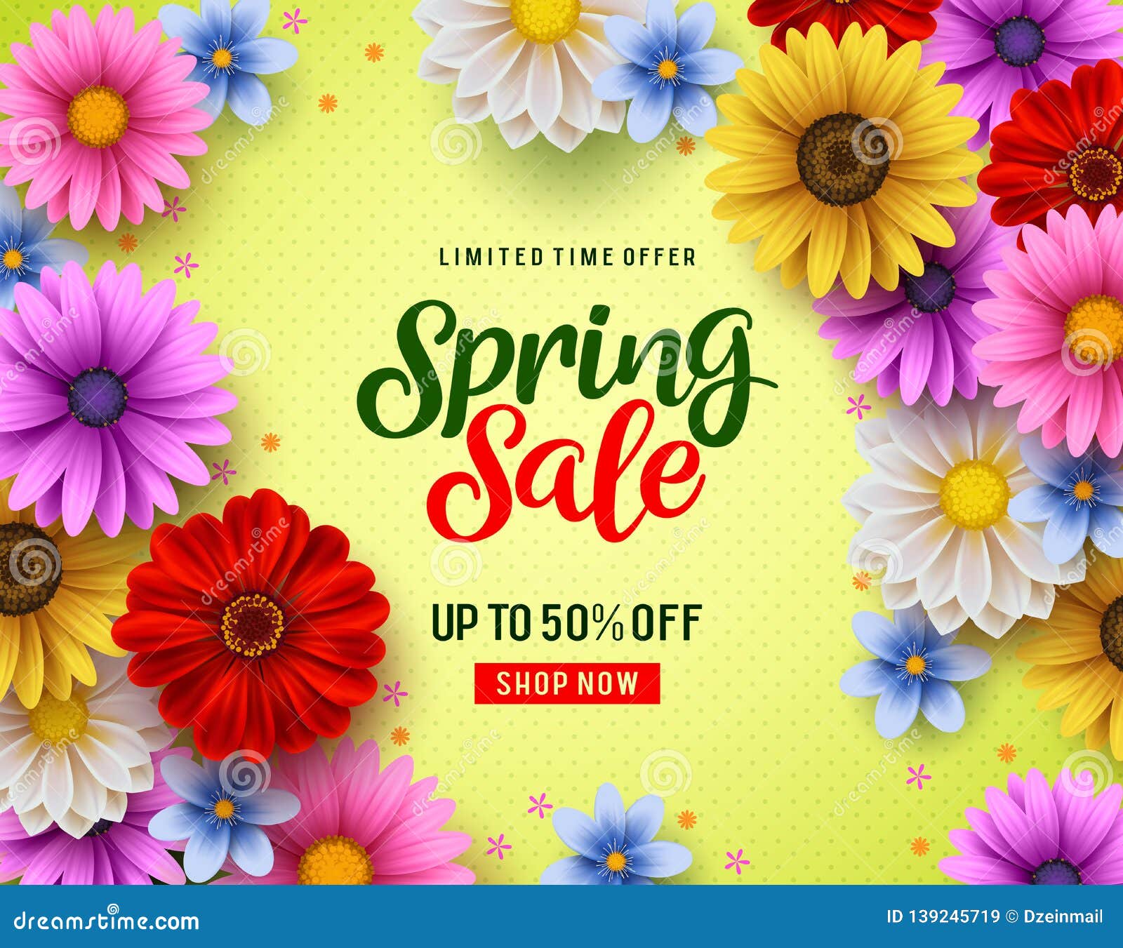 spring sale  banner with colorful chrysanthemum and daisy flowers s