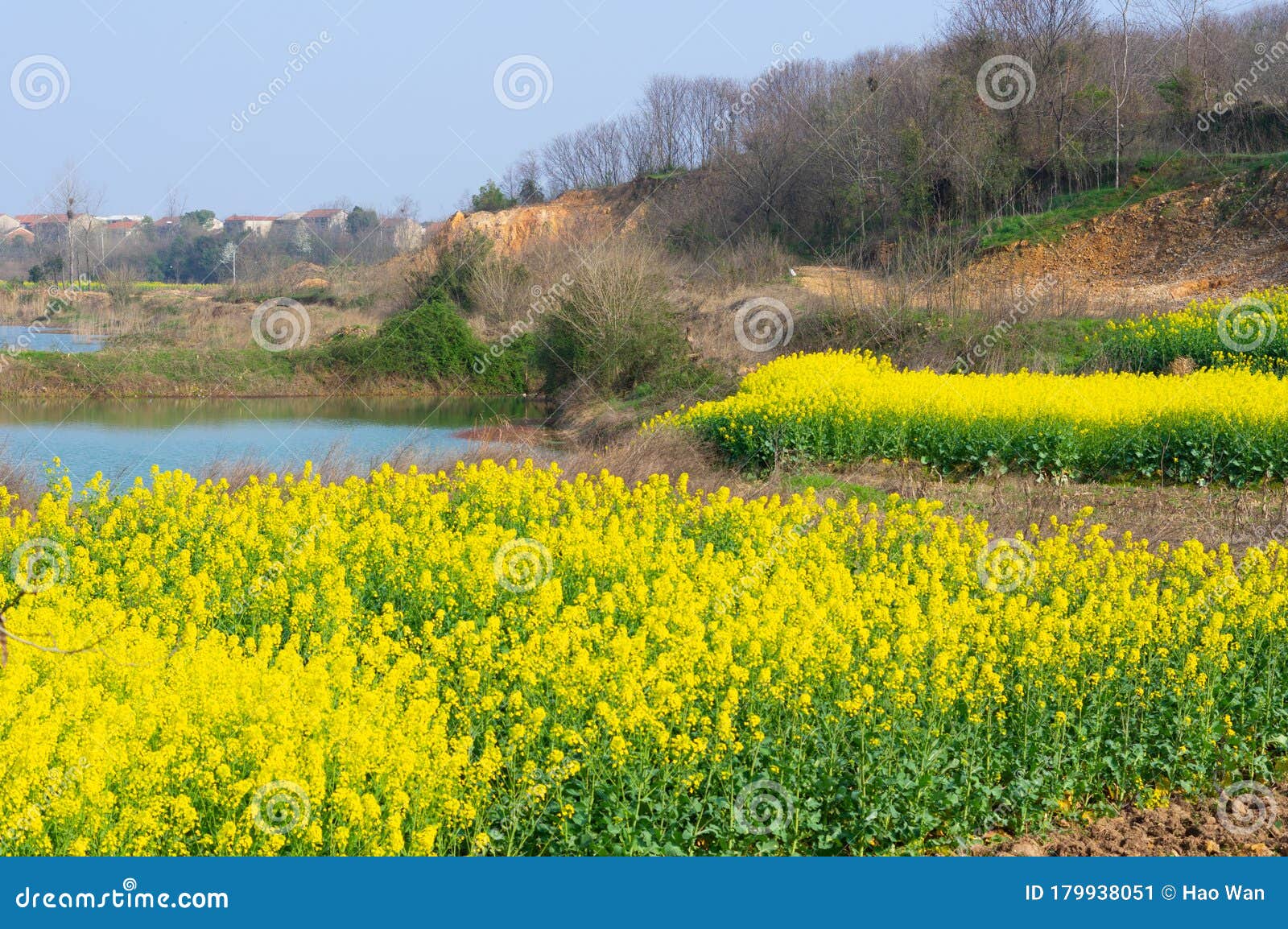 spring scenery of hubei daye zhaoshan forest park