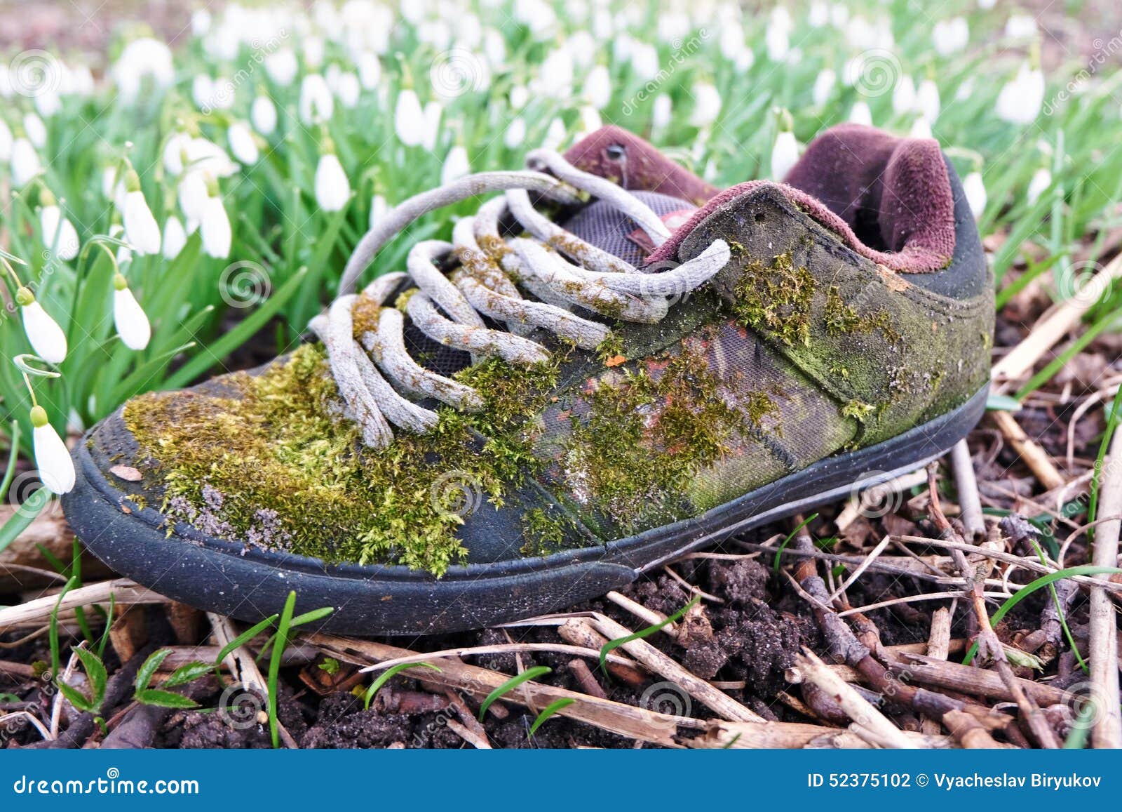 Spring sneaker stock photo. Image of vintage, footwear - 52375102