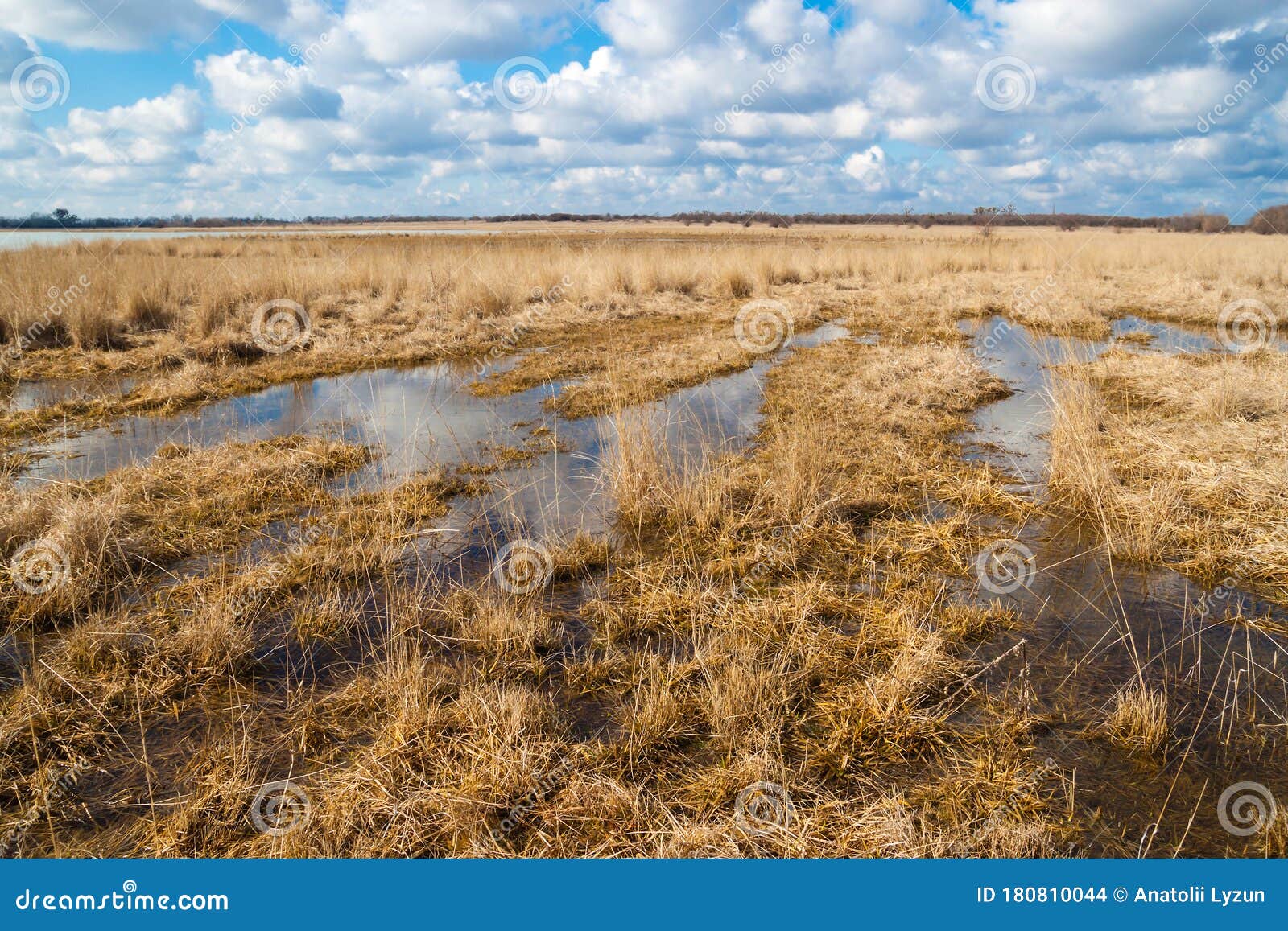 spring in steppe. water grassland