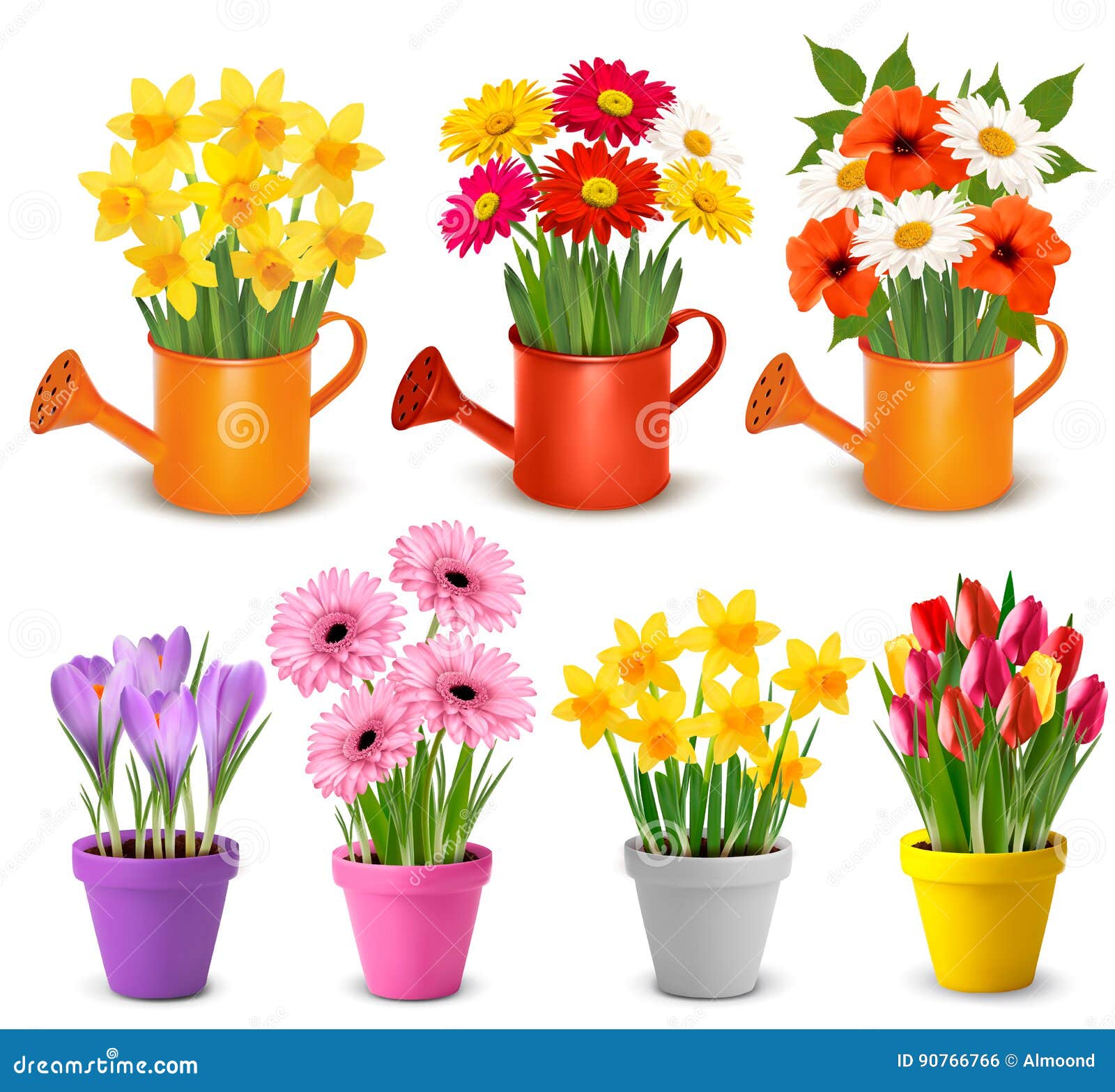 Flowers In Pots Vector Illustration | CartoonDealer.com #91149176