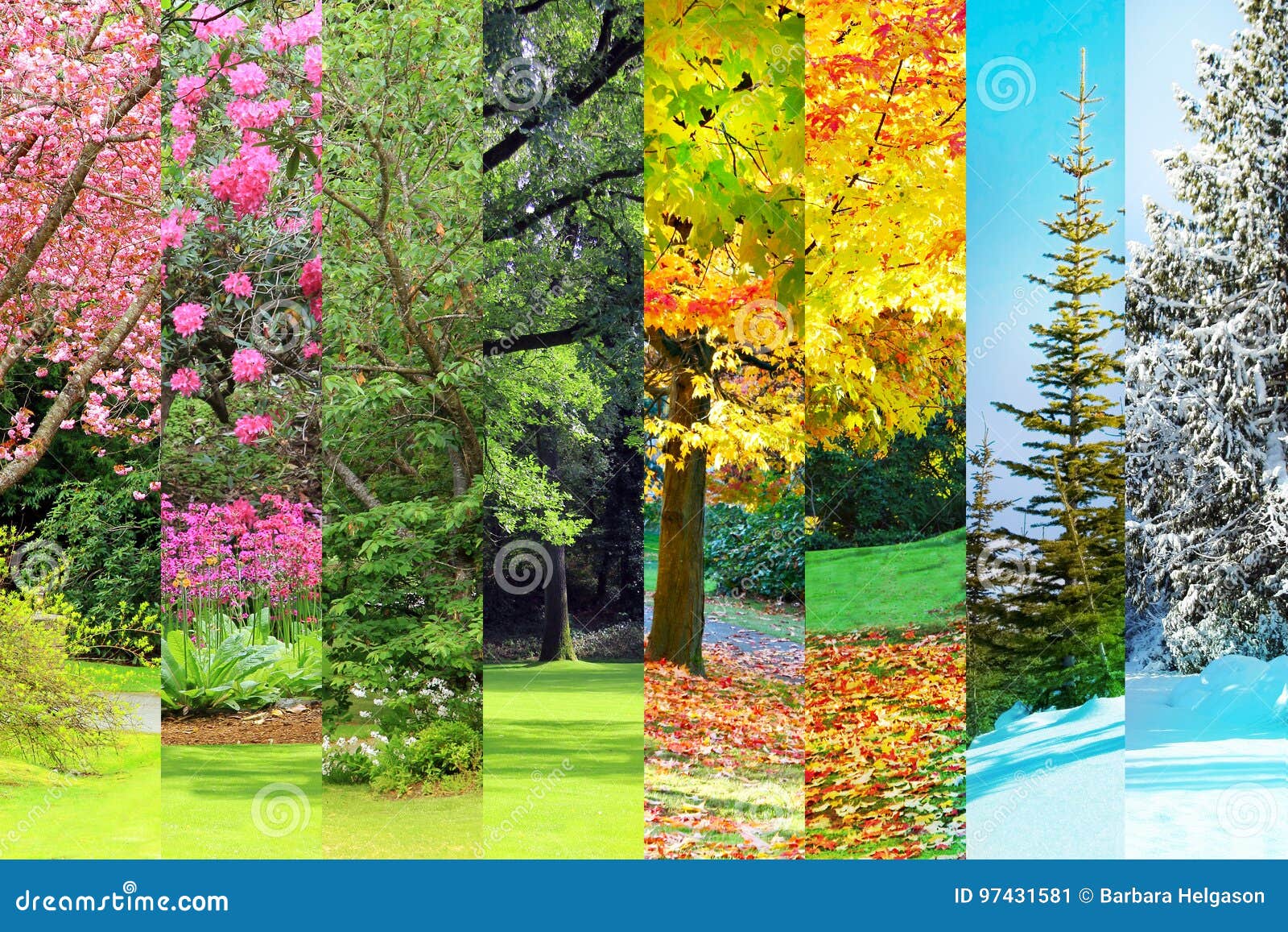 Winter Spring Summer Fall Stock Photos Download 14,097 Royalty Free Photos