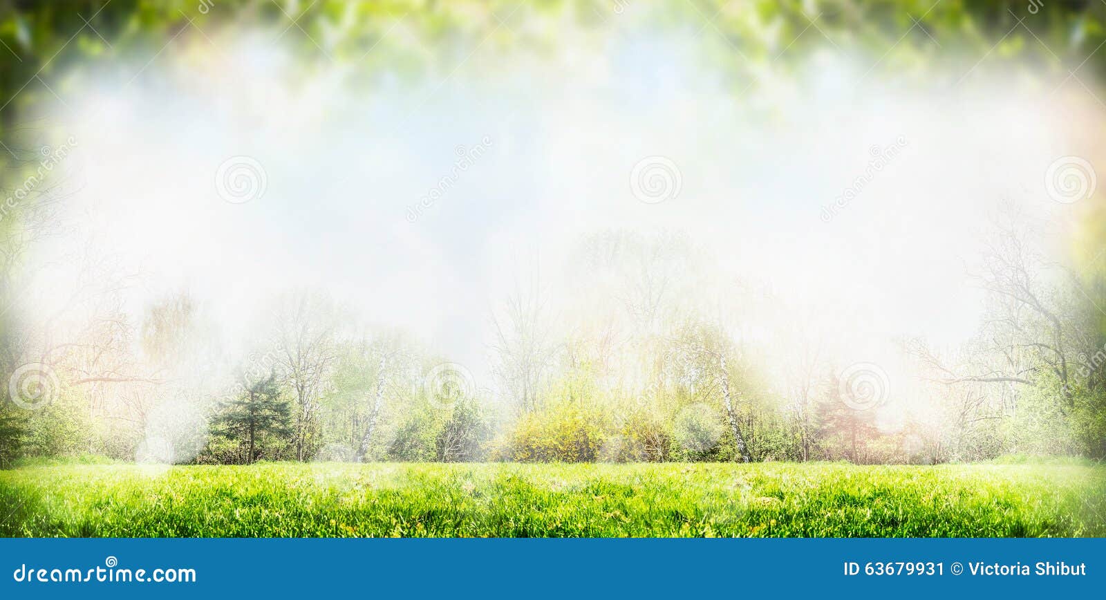 Spring Or Summer Nature Background With Trees And Lawn 