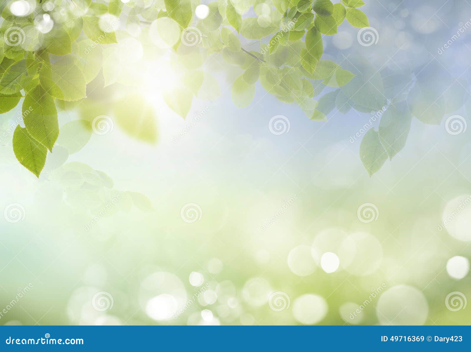 spring or summer season abstract nature background