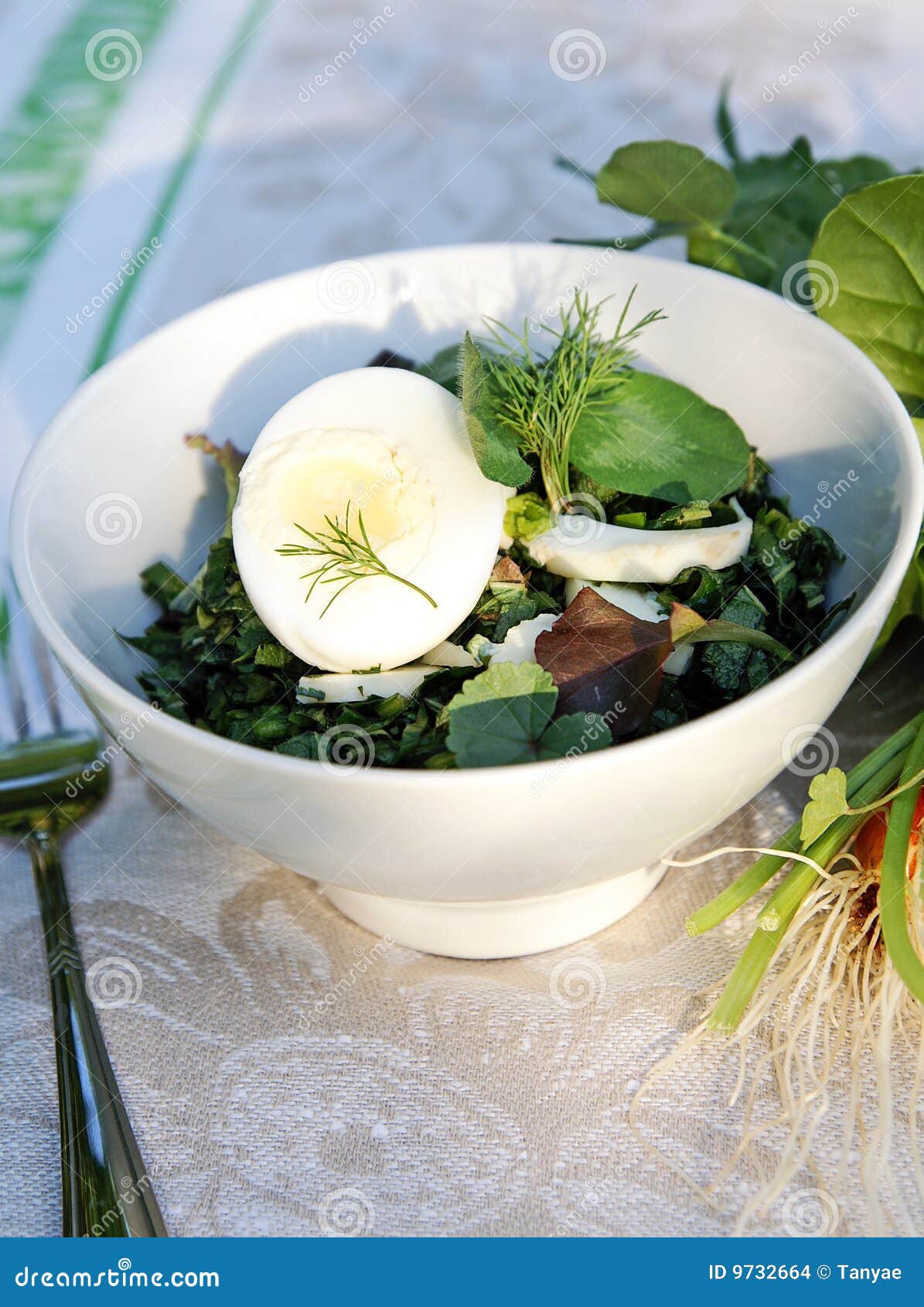 Springsummer Weed Herbs Salad for a Picnic Stock Photo Image of diet