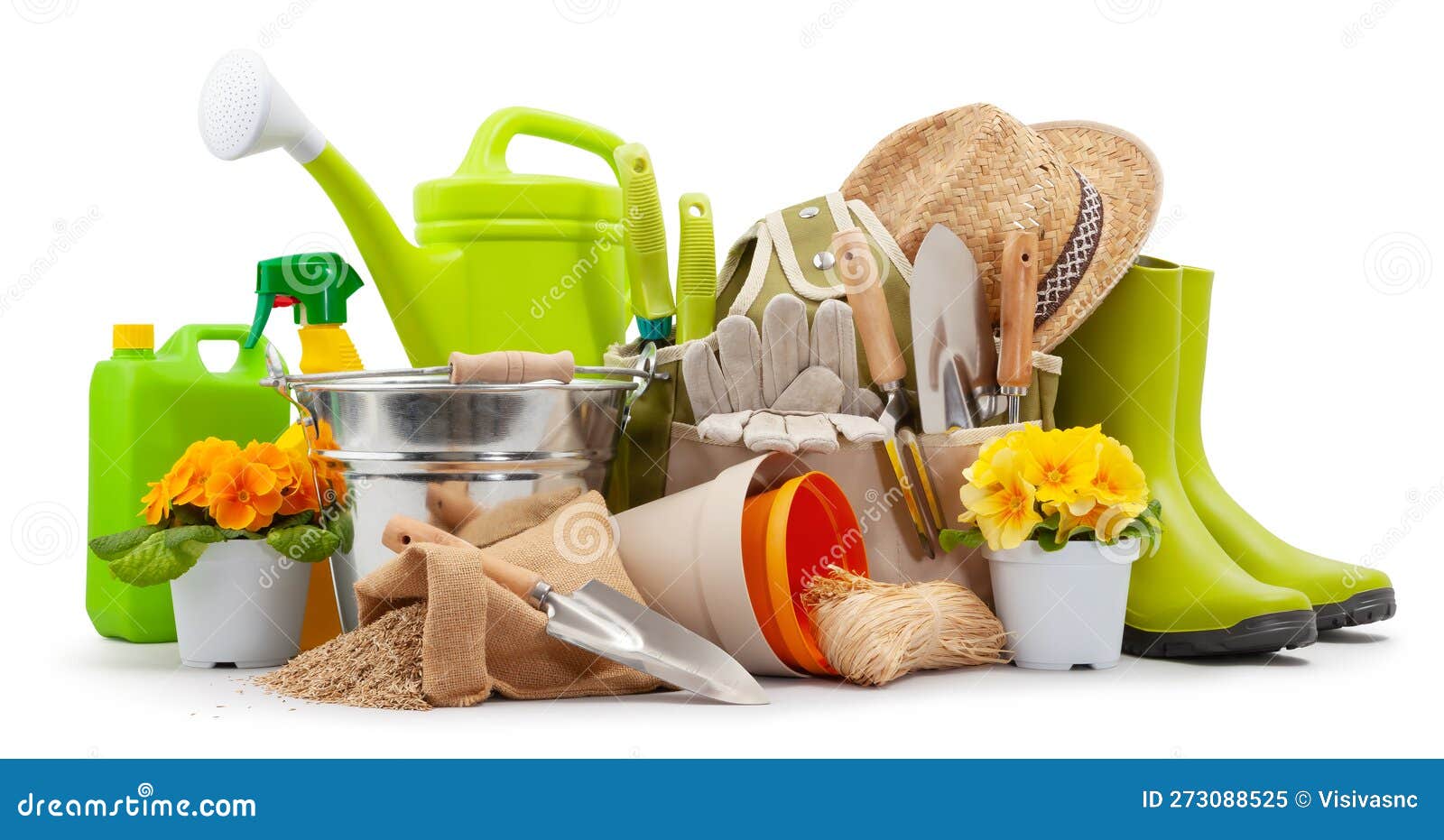 spring time blooms, pots colorful primroses and vase of daisies, green rubber boots and watering can. gardening tools, trowel,