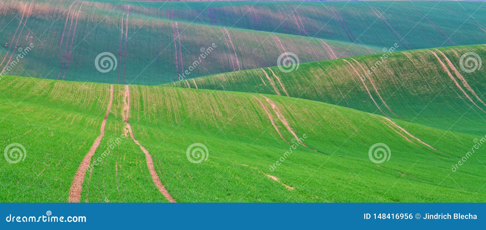 spring time in moravian tuscany, south moravian wine region
