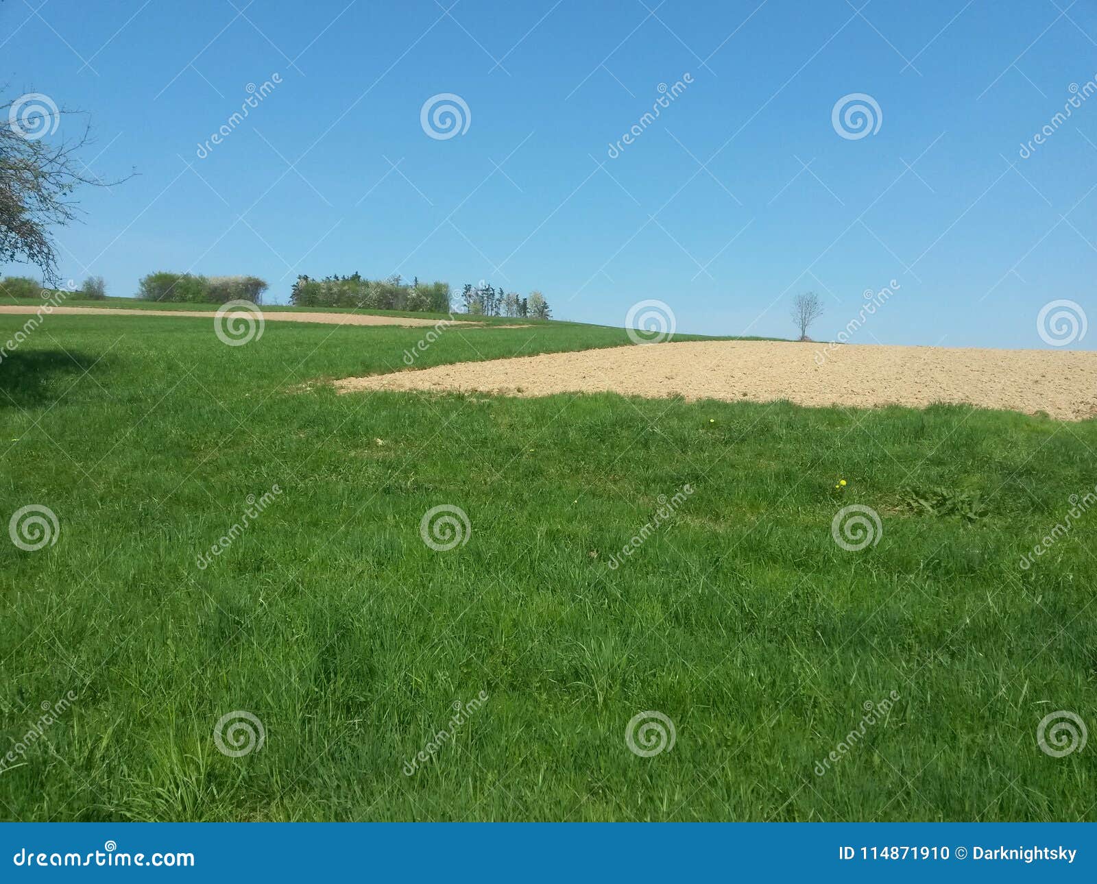 soil covered path inside meadows