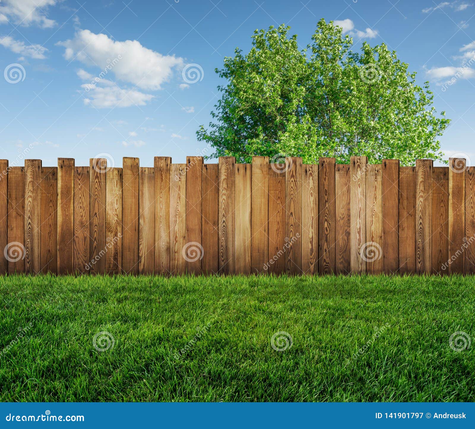 spring tree in backyard and wooden fence