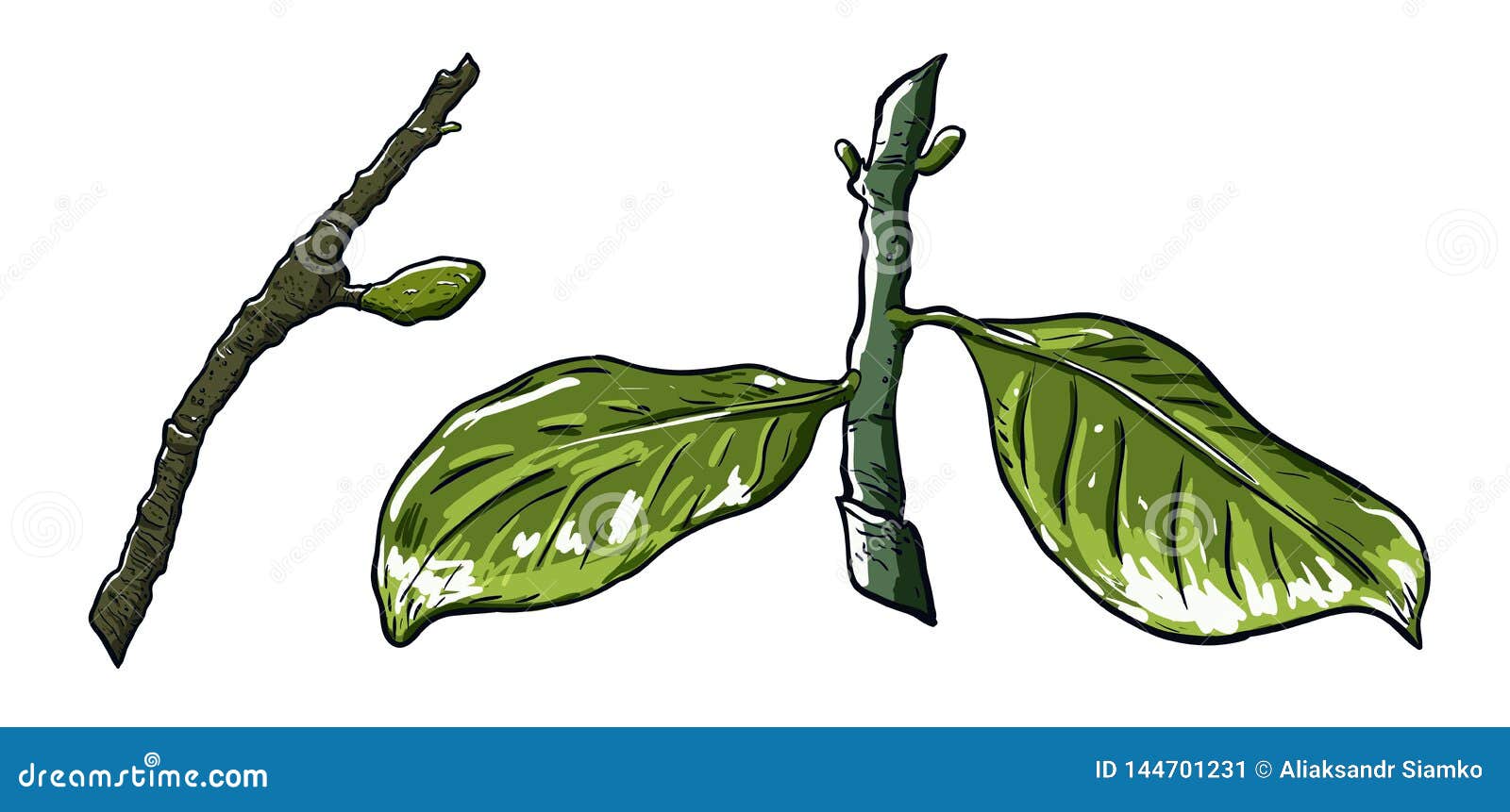 How To Draw Tree Branches with Leaves - YouTube