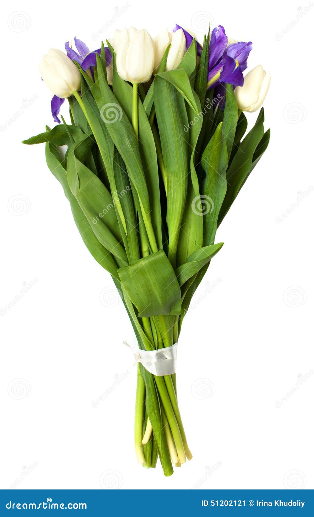 Spring Tulips and Iris Flowers. Stock Image Image of leaves, flower