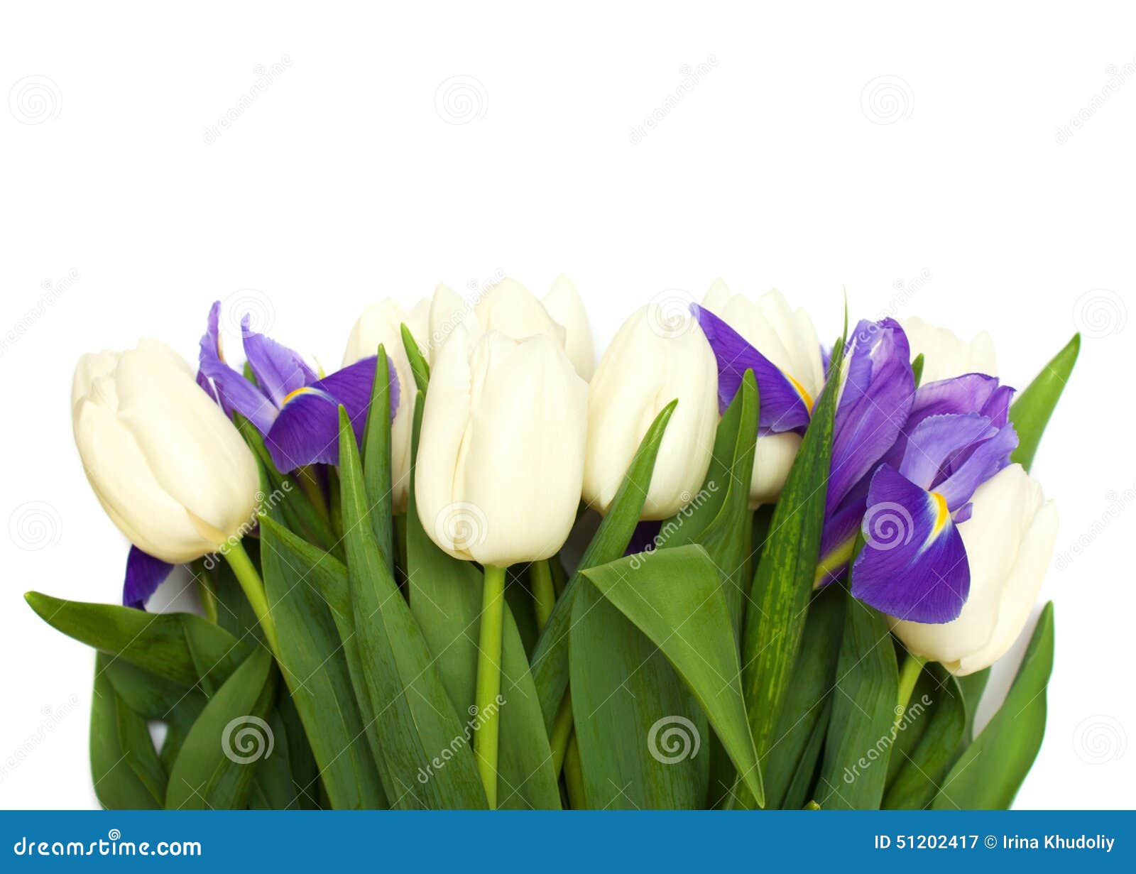 Spring Tulips and Iris Flowers. Stock Image Image of arrangement