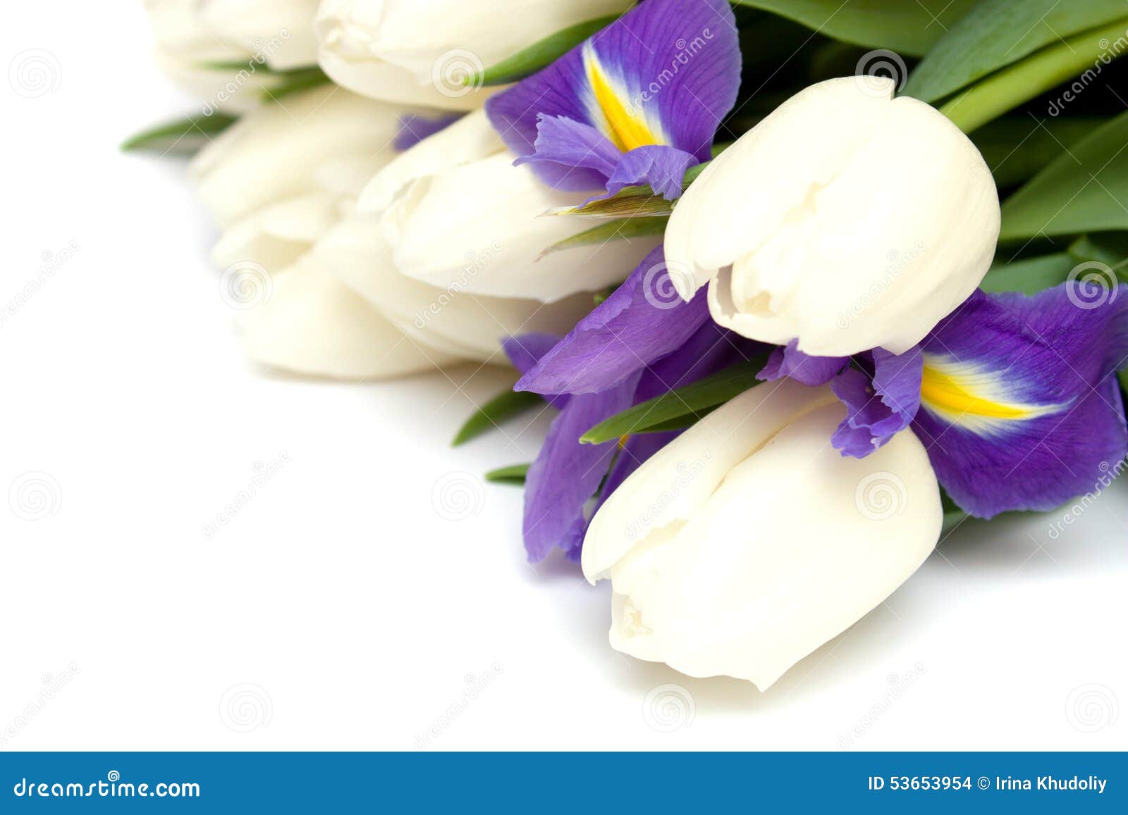Spring Tulips and Iris Flowers. Stock Photo Image of beautiful, iris