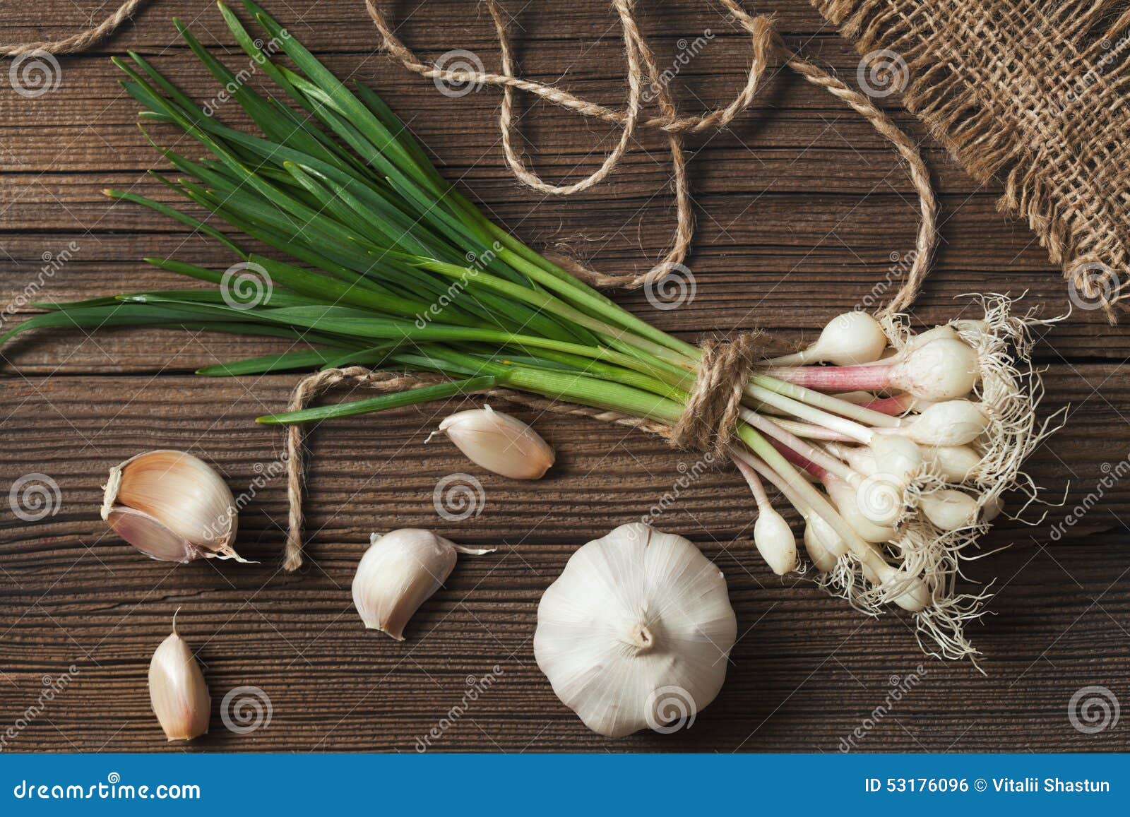 38,043 Spring Garlic Stock Photos - Free & Royalty-Free Stock Photos from  Dreamstime