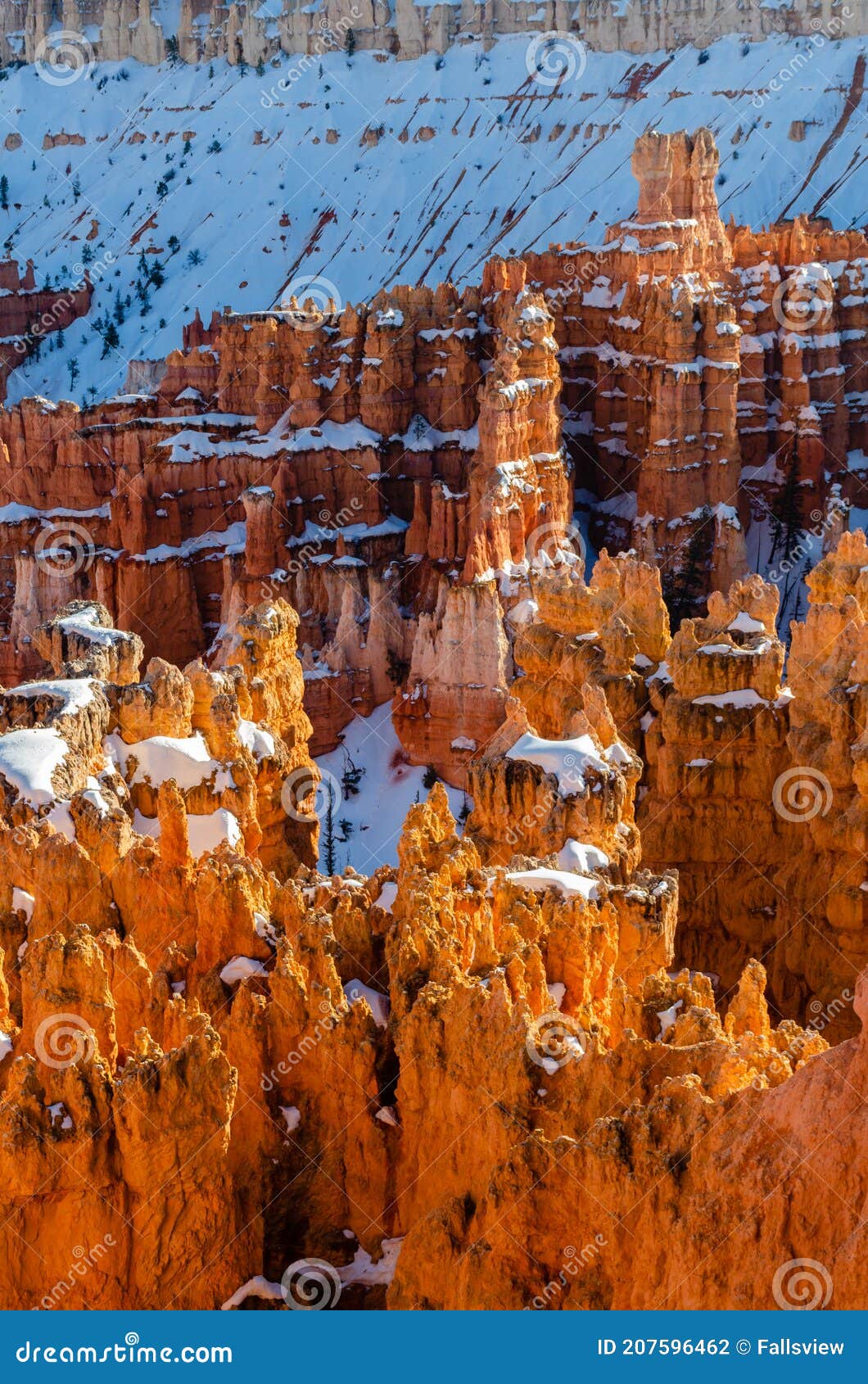 spring view of bryce amphitheater in snow from sunrise point at sunset