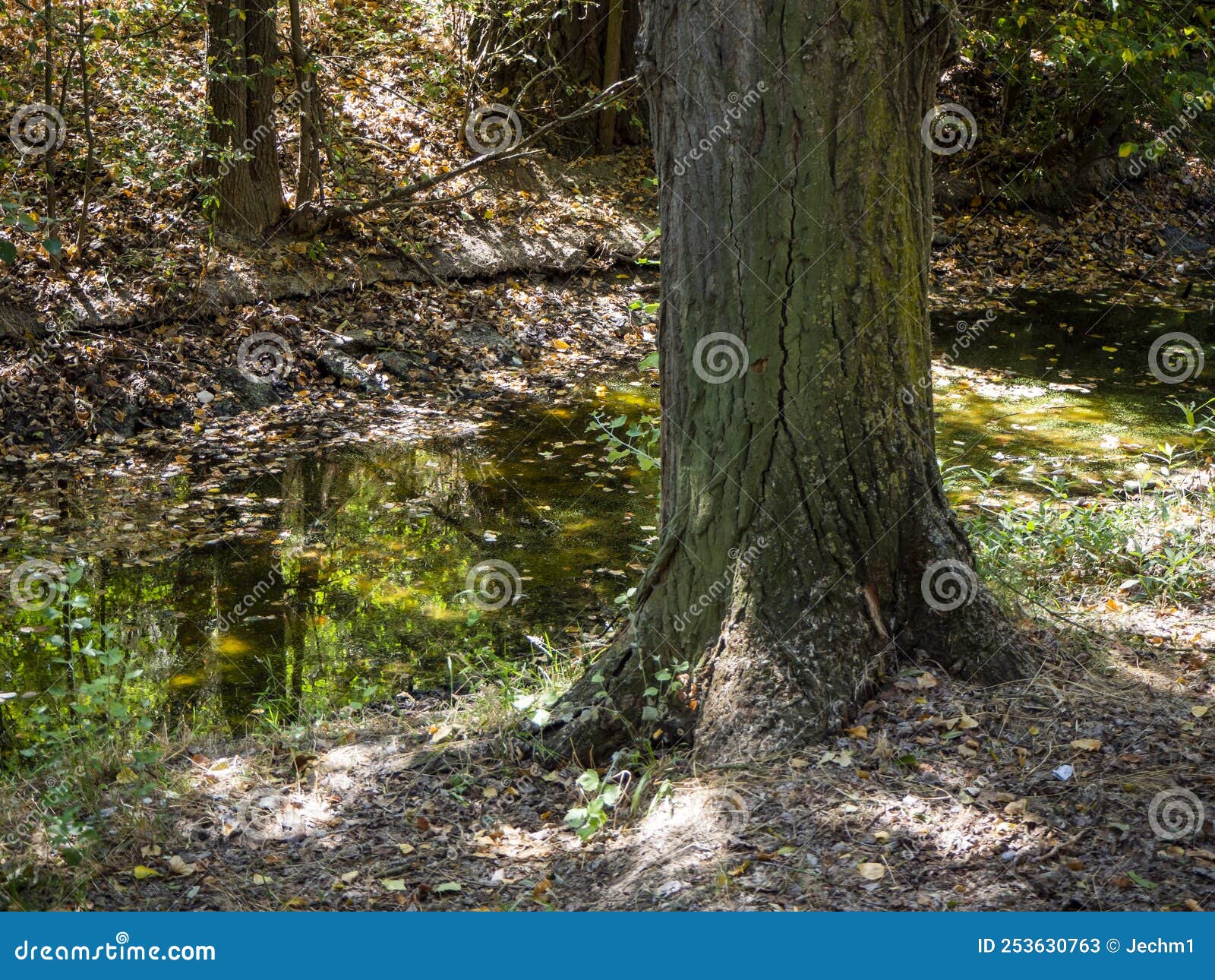 Spring Water Contaminated by Chemicals. Pollution Concept Stock Image
