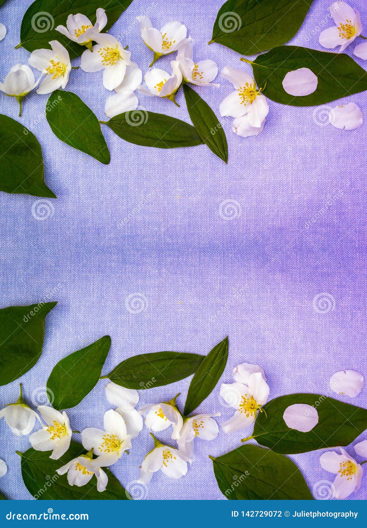 Spring White Flowers and Green Leaves, Spring Background Stock Photo