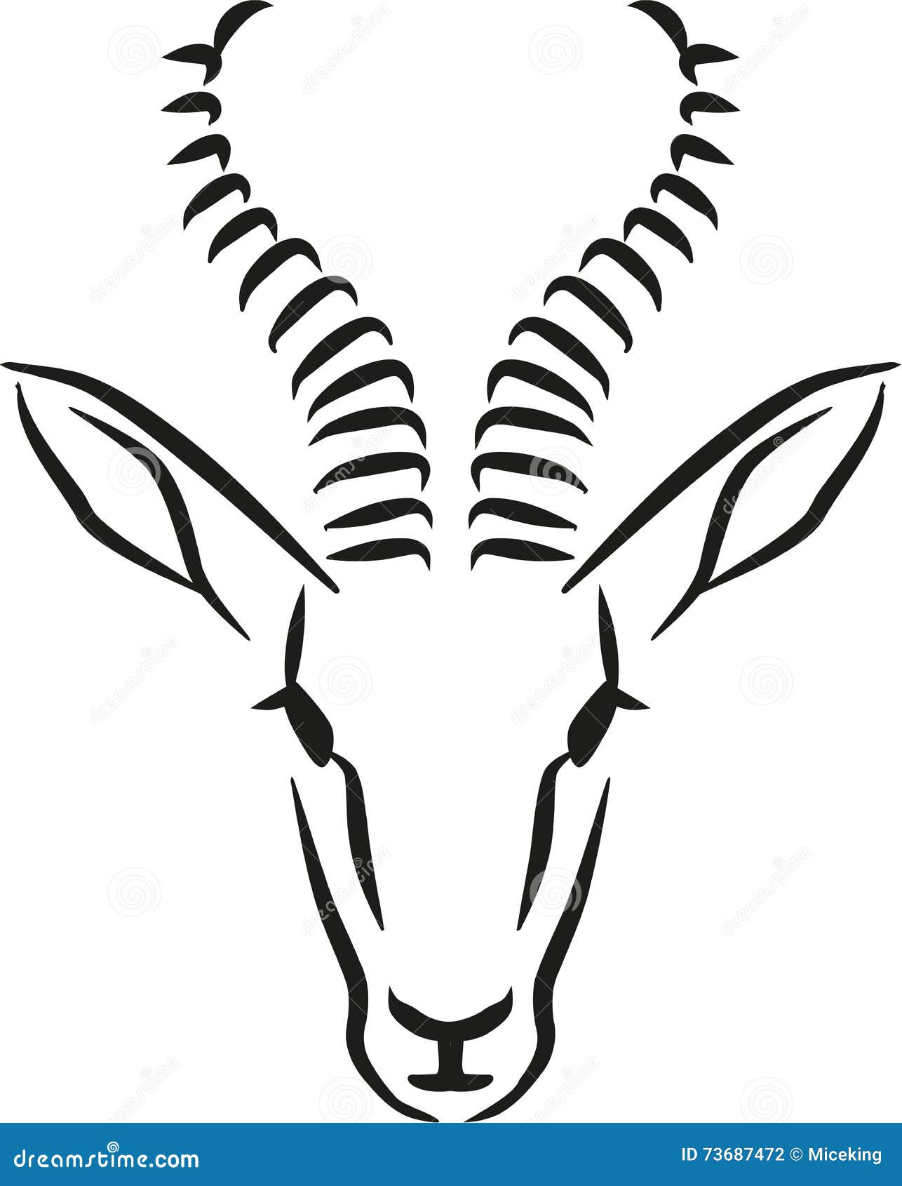 springbok head