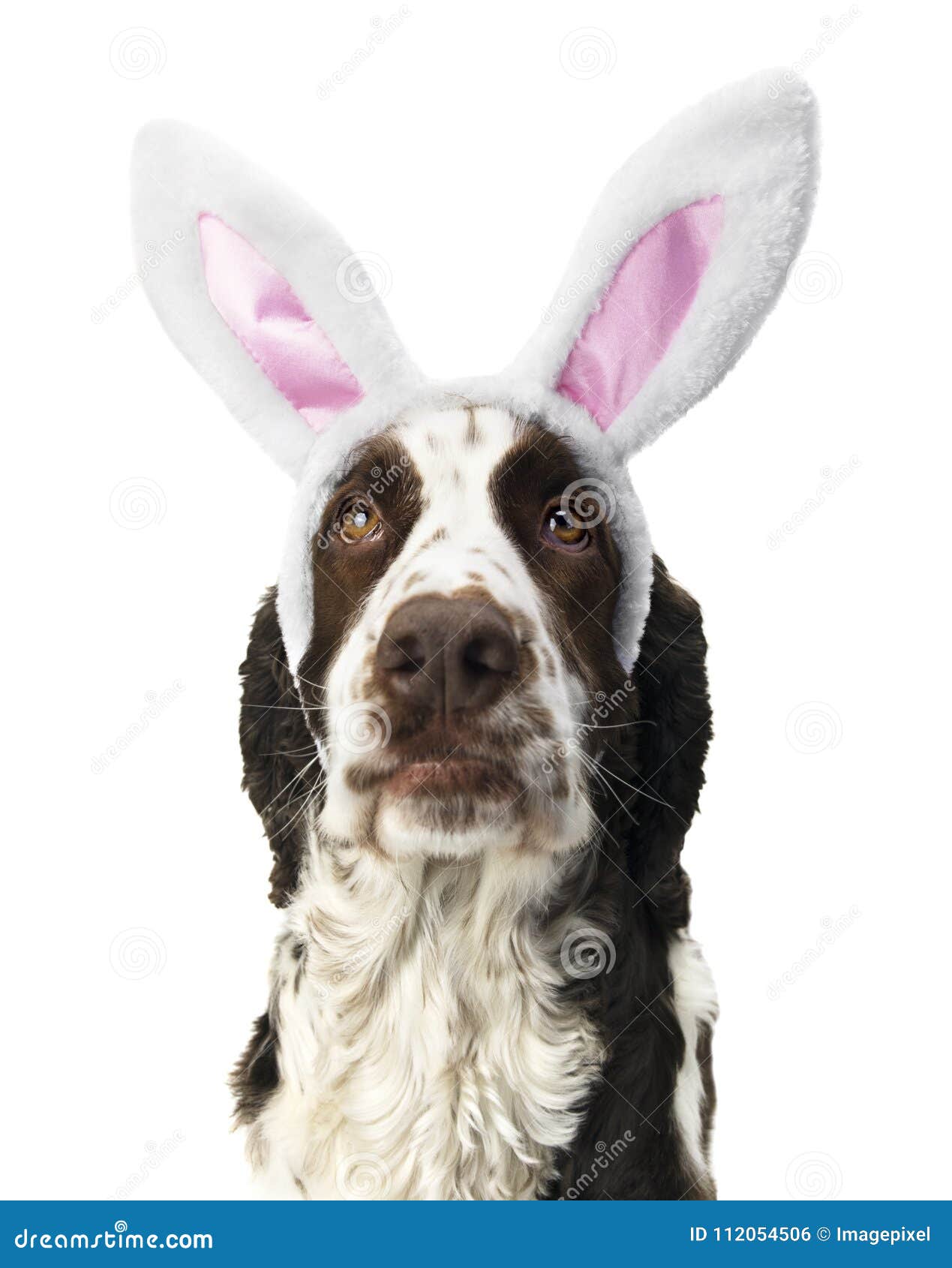 Bunny Ears Whiskers Stock Illustrations – 2,130 Bunny Ears