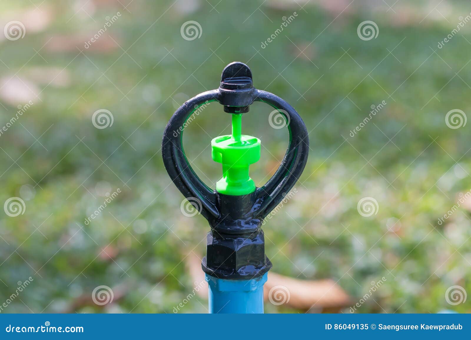 Springer Water RoyaltyFree Stock Photo 86049135
