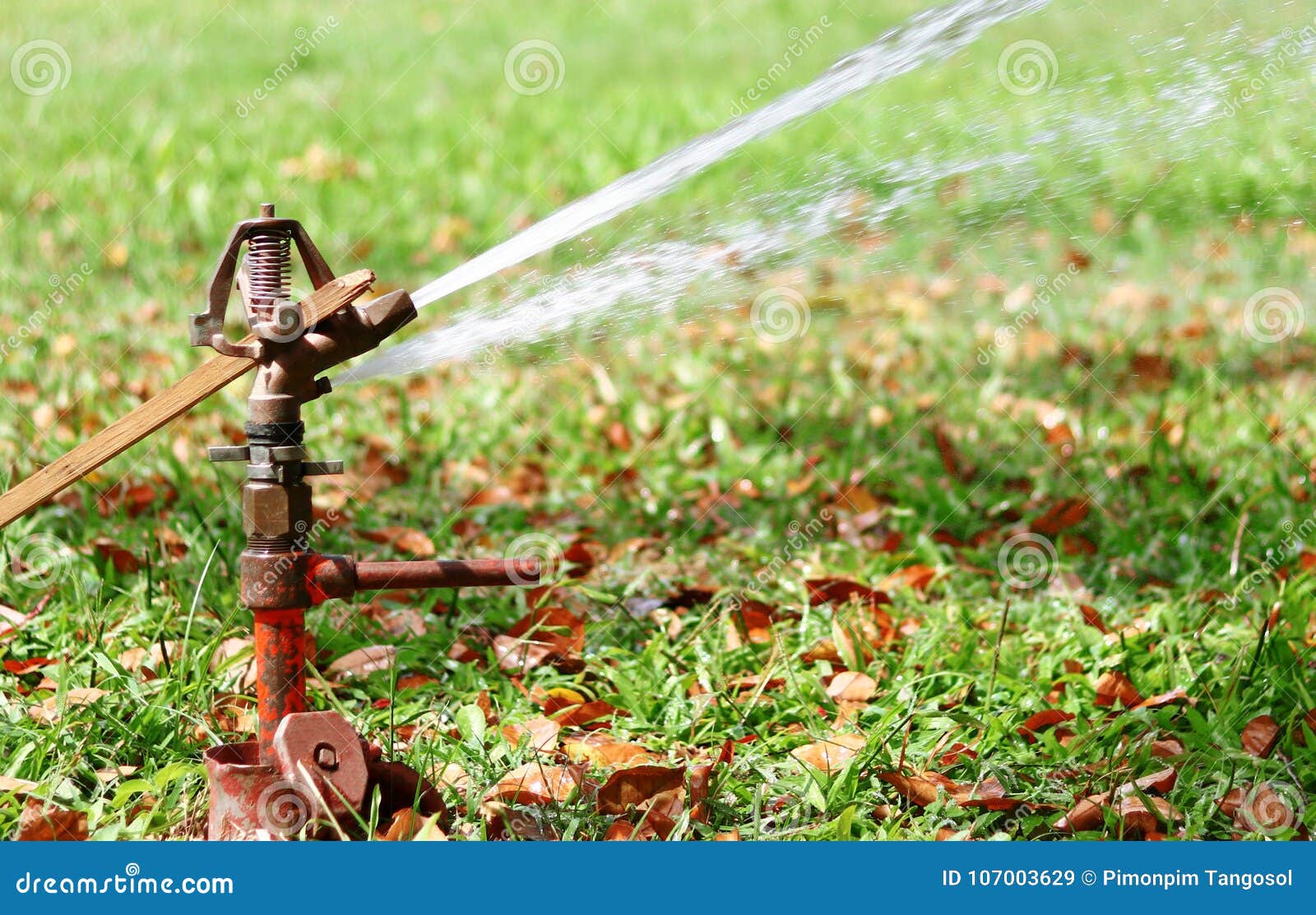 Springer Water RoyaltyFree Stock Photo 86049135