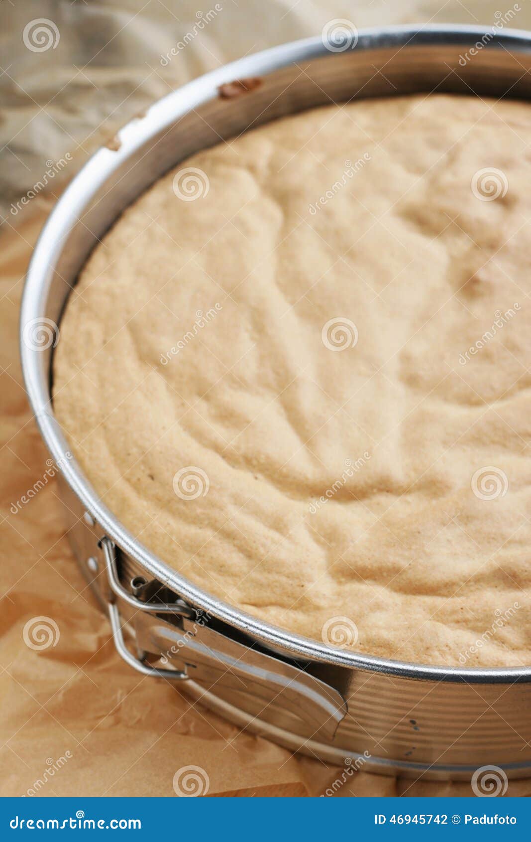 Springform pan stock photo. Image of gray, mold, holding 46945742