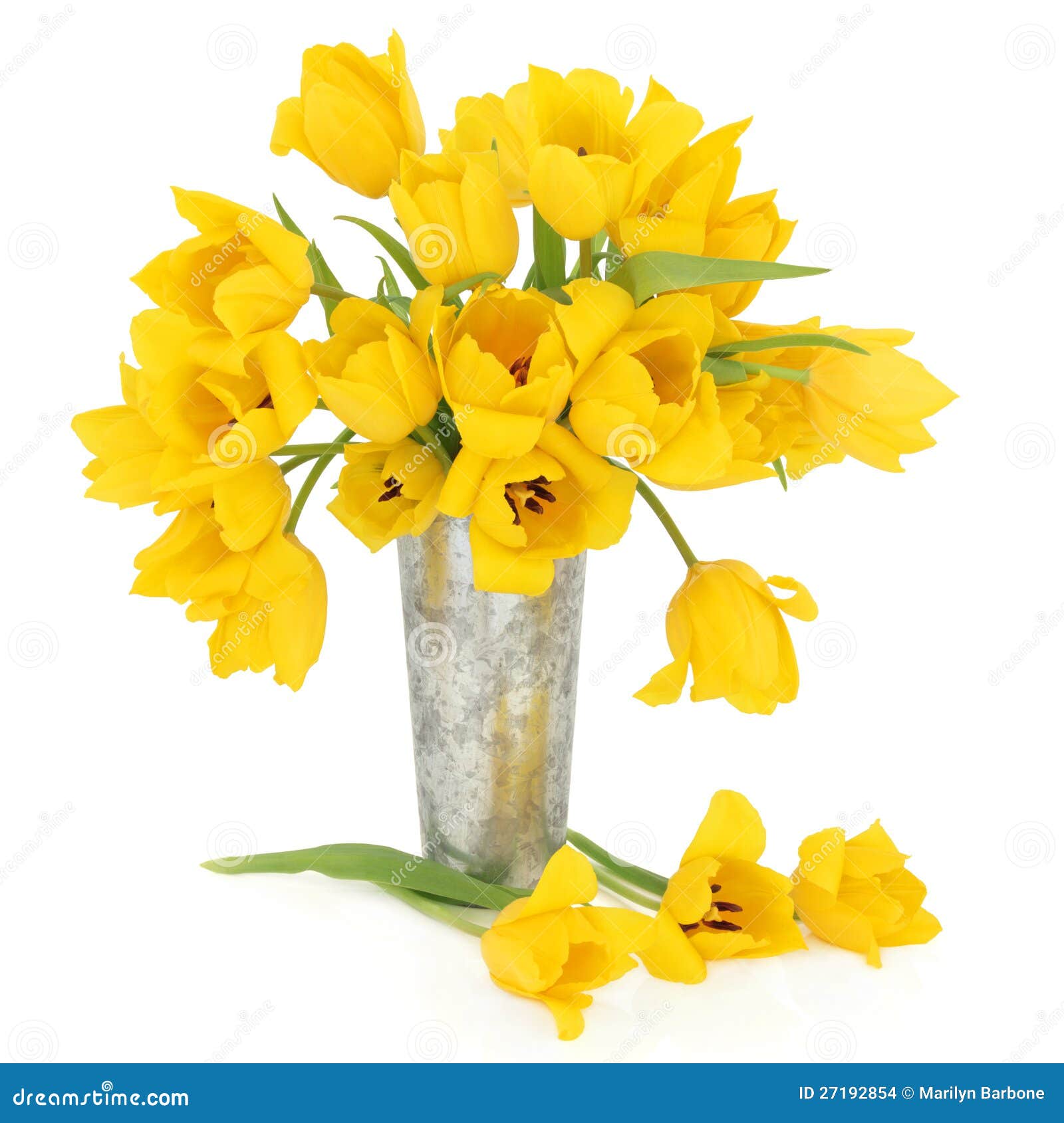 Springtime Beauty stock photo. Image of perfect, dutch - 27192854