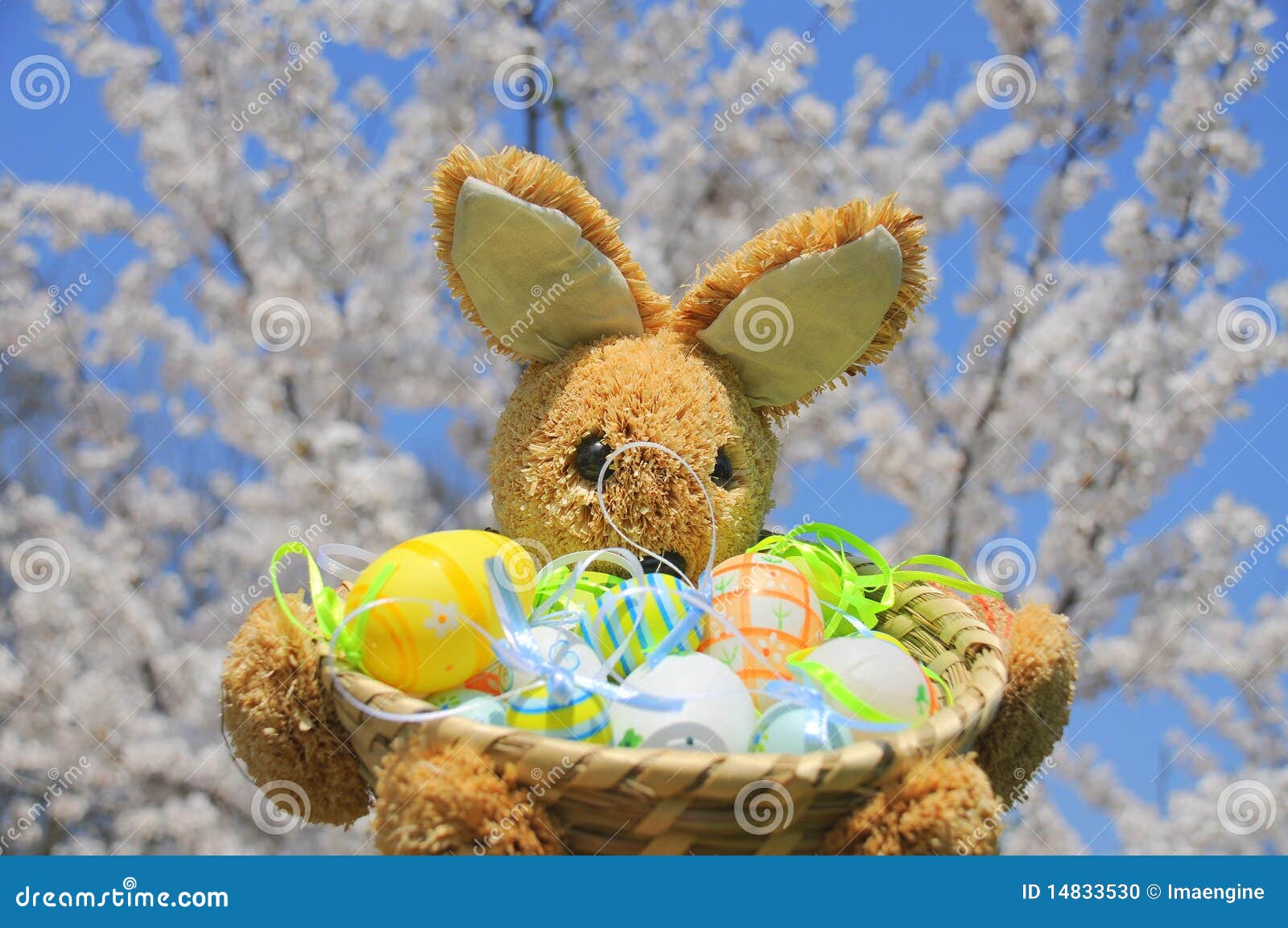 Springtime Easter Bunny and Eggs Stock Photo - Image of eggs, paint 
