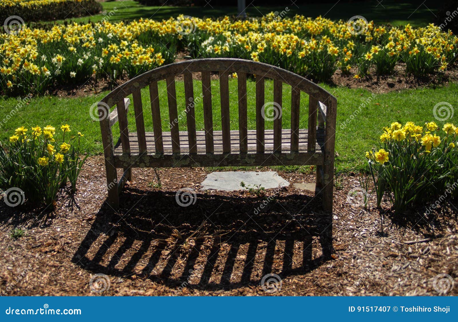 Springtime Flowers With Bench Stock Image Image Of Flowers