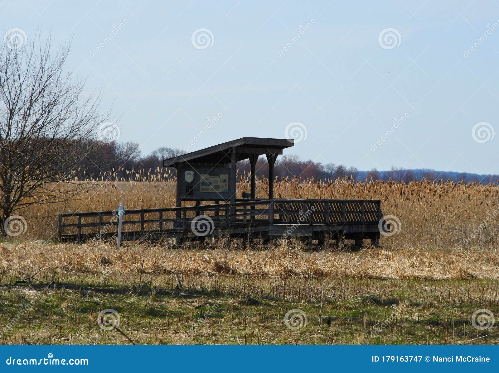 Springtime Hike at Montezuma Marsh Observatory Stock Image Image of