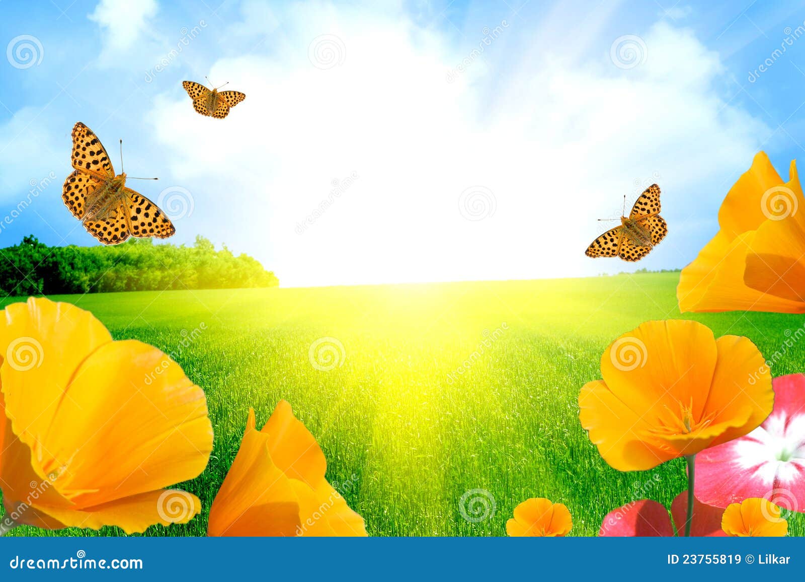 Springtime scenery stock image. Image of grass, plain 23755819