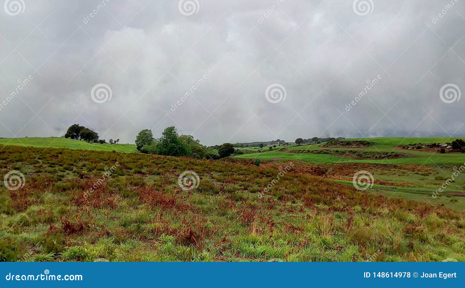 springtime and stormy weather scenario