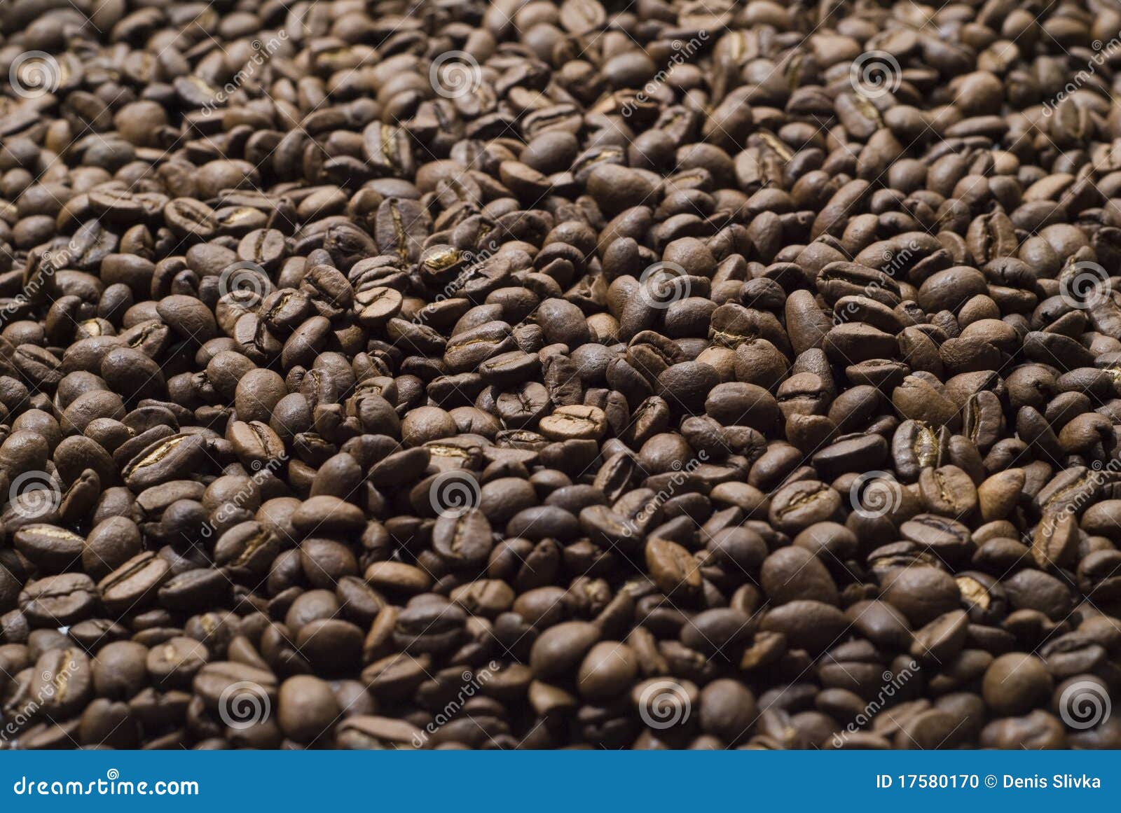 Sprinkle of coffee beans stock photo. Image of strong 17580170